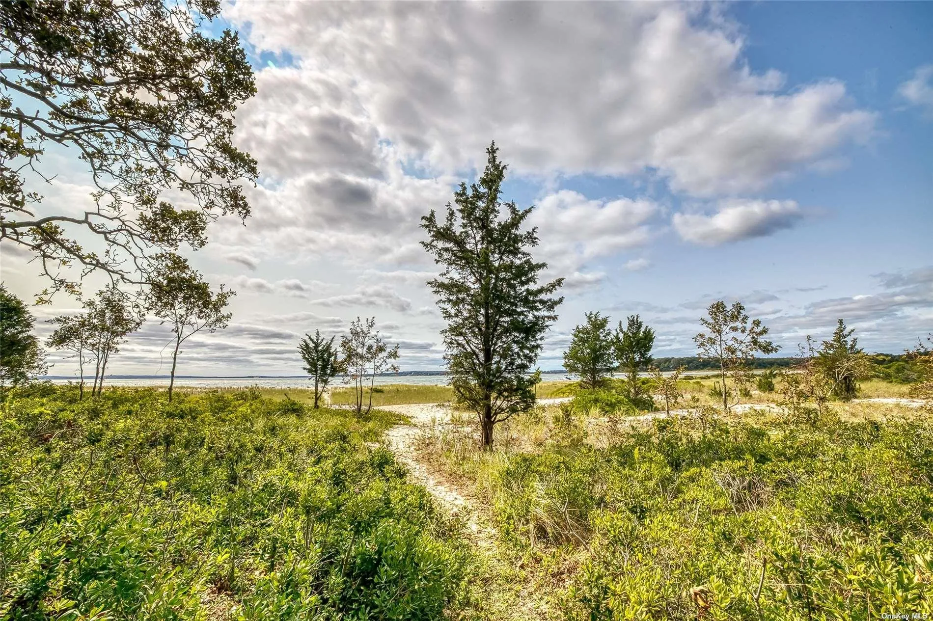 1695 Old Woods Path, Southold, NY, 6 Bedrooms Bedrooms, 11 Rooms Rooms,4 BathroomsBathrooms,Residential Lease,Idx,Old Woods,0,L3212687 1695 Old Woods Path, Southold, NY, 6 Bedrooms Bedrooms, 11 Rooms Rooms,4 BathroomsBathrooms,Residential Lease,Idx,Old Woods,0,L3212687