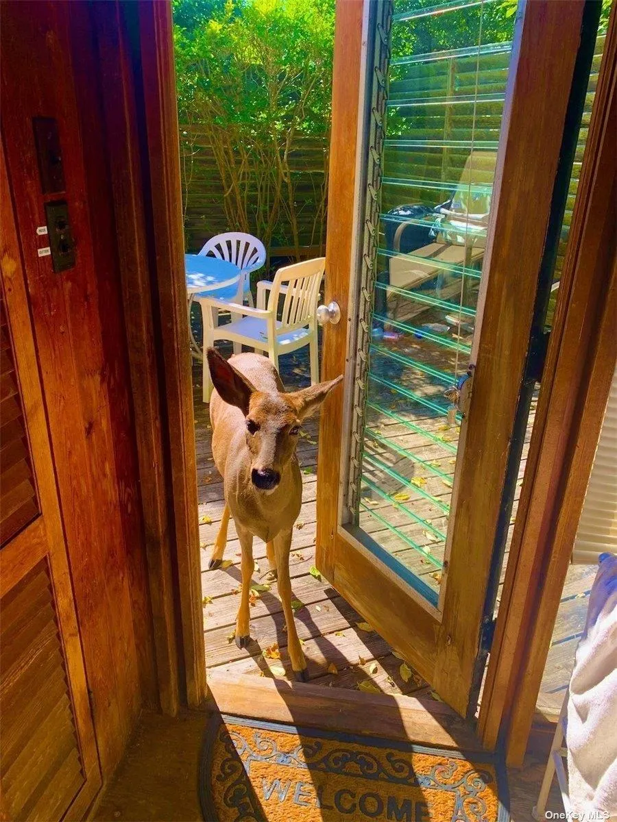 30 Gale Walk, Islip, NY, 2 Bedrooms Bedrooms, 4 Rooms Rooms,1 BathroomBathrooms,Residential Lease,Idx,Gale,0,L3355977 30 Gale Walk, Islip, NY, 2 Bedrooms Bedrooms, 4 Rooms Rooms,1 BathroomBathrooms,Residential Lease,Idx,Gale,0,L3355977