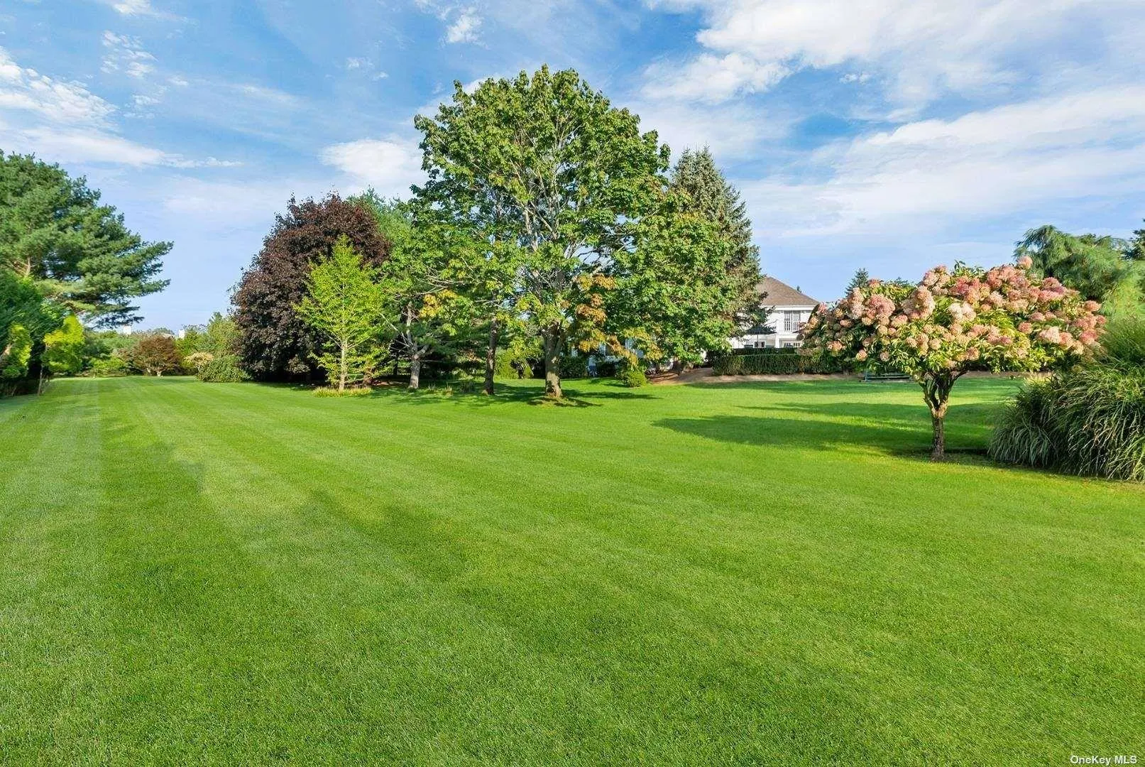 120 Swans Neck Lane, Southampton, NY, 5 Bedrooms Bedrooms, ,4 BathroomsBathrooms,Residential Lease,For Rent,Swans Neck,0,L3441462 120 Swans Neck Lane, Southampton, NY, 5 Bedrooms Bedrooms, ,4 BathroomsBathrooms,Residential Lease,For Rent,Swans Neck,0,L3441462