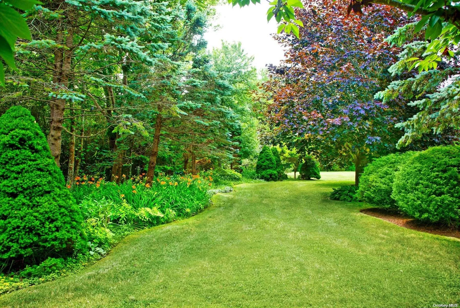 120 Swans Neck Lane, Southampton, NY, 5 Bedrooms Bedrooms, ,4 BathroomsBathrooms,Residential Lease,Idx,Swans Neck,0,L3441462 120 Swans Neck Lane, Southampton, NY, 5 Bedrooms Bedrooms, ,4 BathroomsBathrooms,Residential Lease,Idx,Swans Neck,0,L3441462