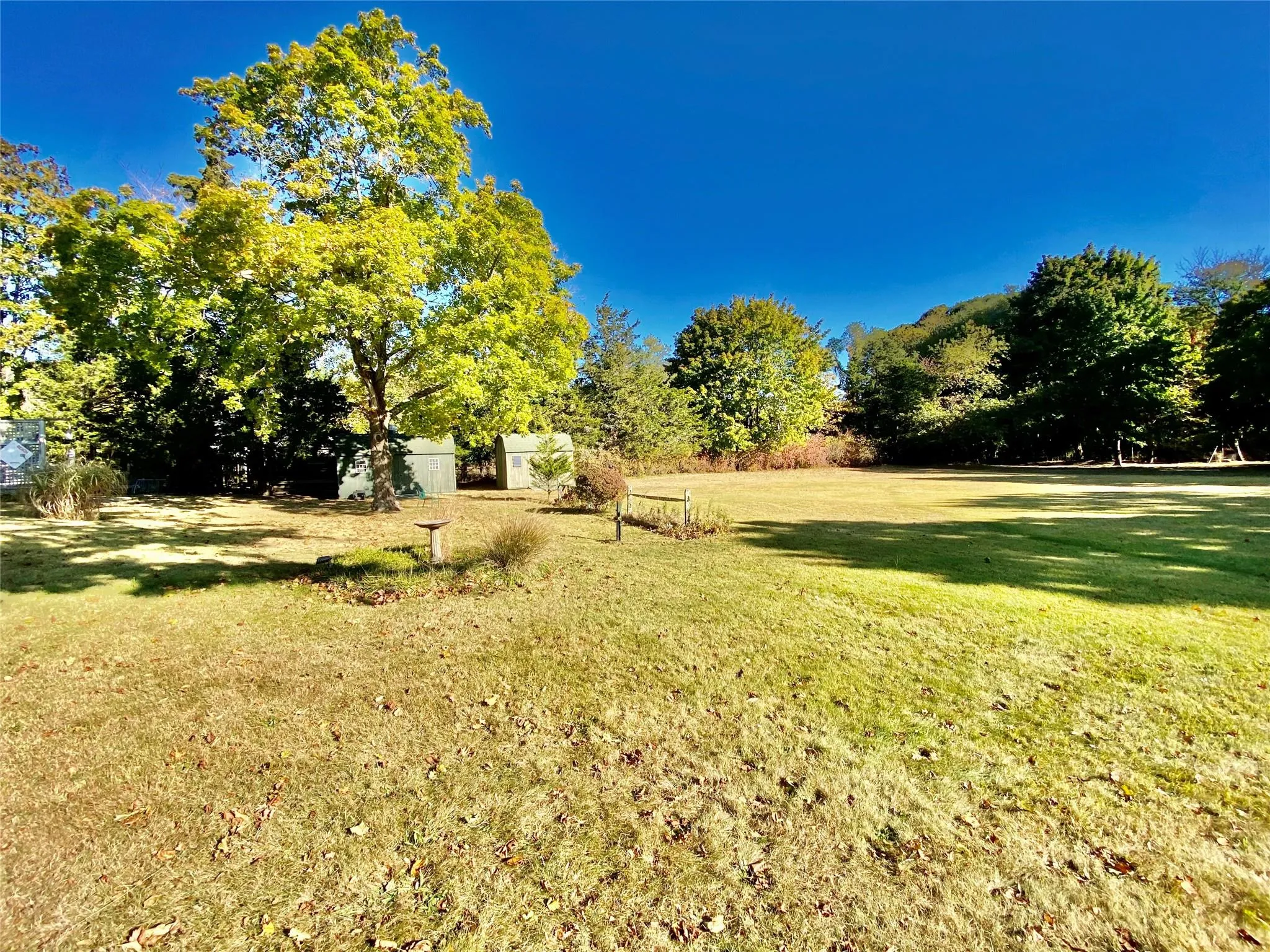 View of yard View of yard
