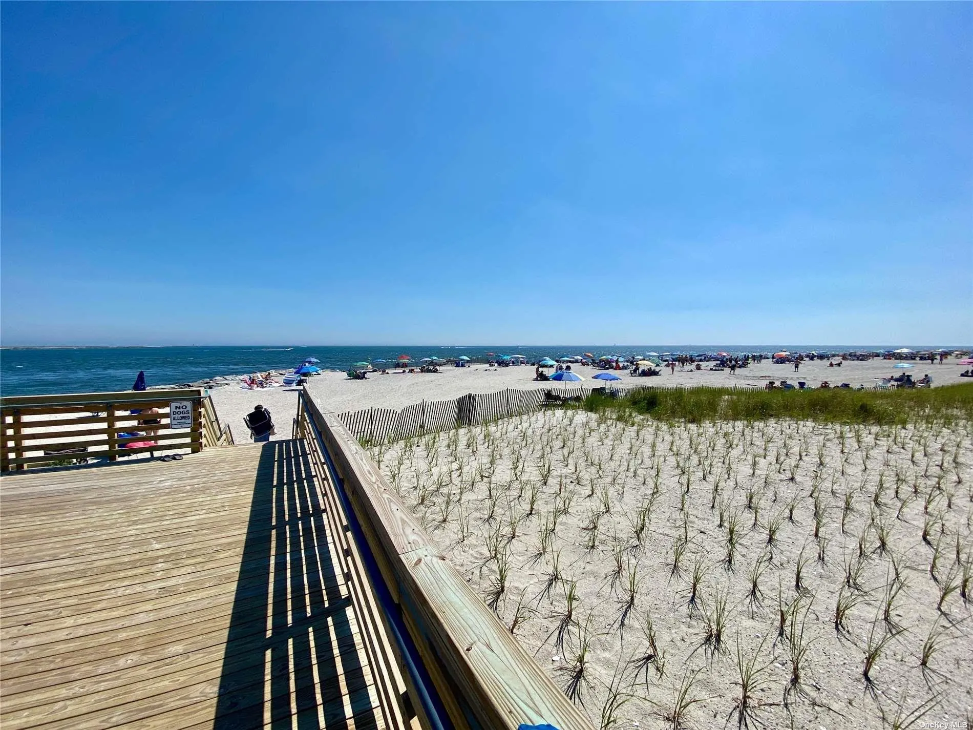 111 Inwood, Hempstead, NY, 4 Bedrooms Bedrooms, 9 Rooms Rooms,1 BathroomBathrooms,Residential Lease,Idx,Inwood,0,L3469008 111 Inwood, Hempstead, NY, 4 Bedrooms Bedrooms, 9 Rooms Rooms,1 BathroomBathrooms,Residential Lease,Idx,Inwood,0,L3469008