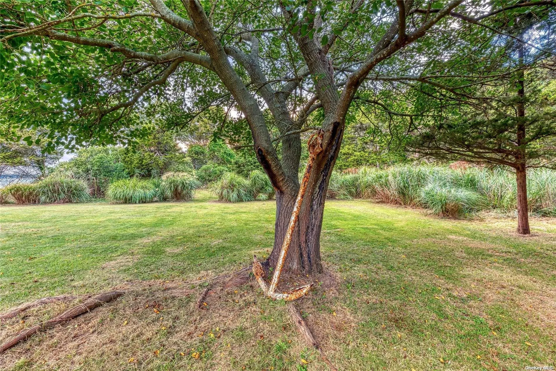 1355 Watersedge Way, Southold, NY, 3 Bedrooms Bedrooms, 6 Rooms Rooms,2 BathroomsBathrooms,Residential Lease,Idx,Watersedge,0,L3501928 1355 Watersedge Way, Southold, NY, 3 Bedrooms Bedrooms, 6 Rooms Rooms,2 BathroomsBathrooms,Residential Lease,Idx,Watersedge,0,L3501928