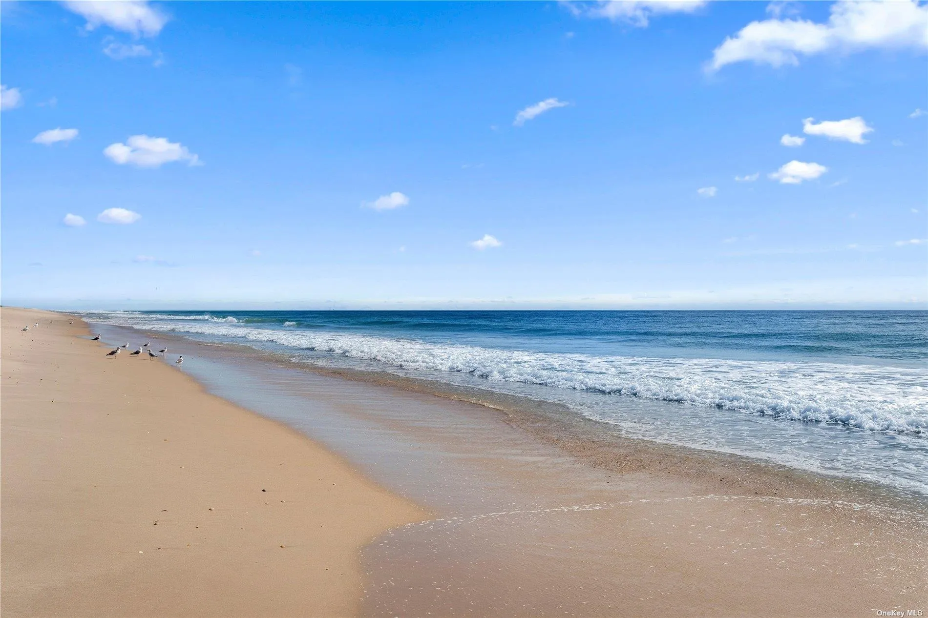 Your pristine sandy Ocean beach Your pristine sandy Ocean beach