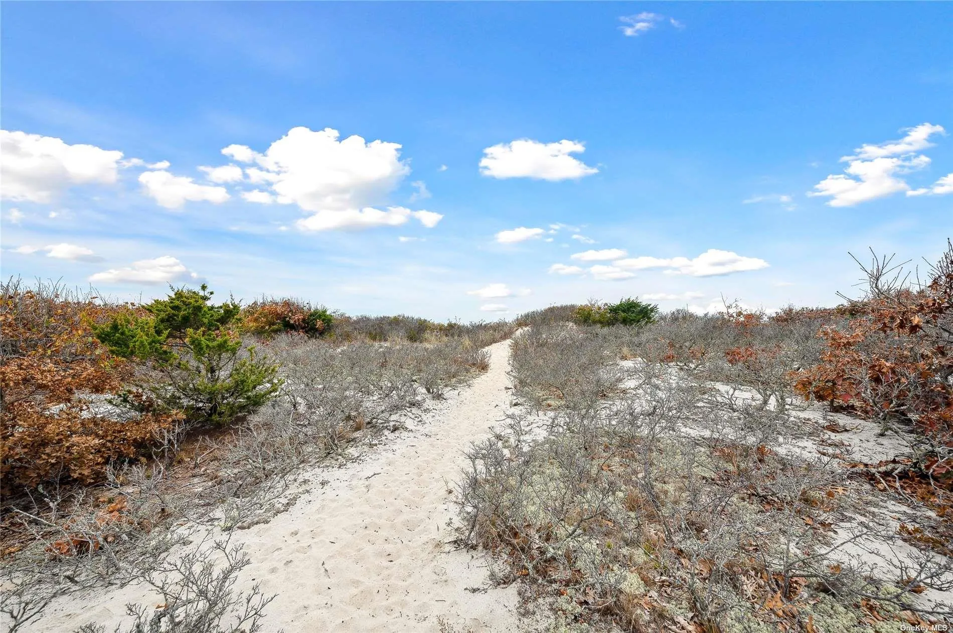 Path to Beach Path to Beach