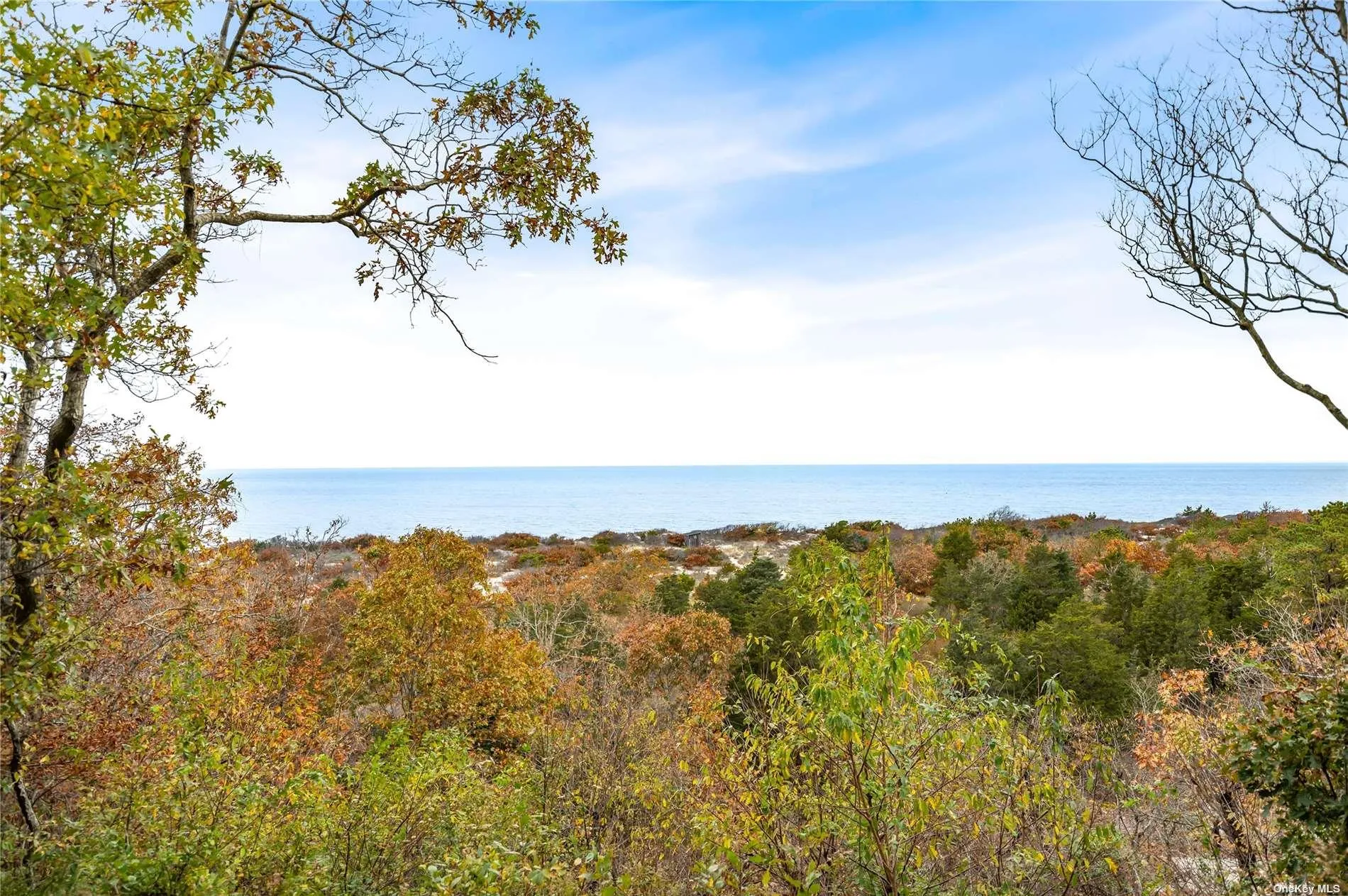 View from Back Patio View from Back Patio
