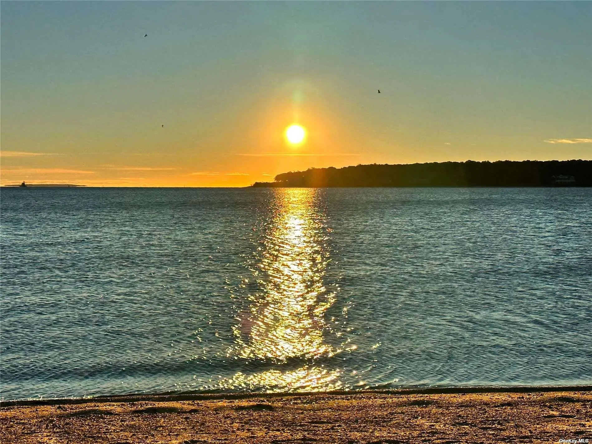 Nearby beach Nearby beach