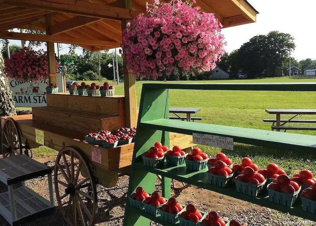 1100 Pine Avenue, Southold, NY, 3 Bedrooms Bedrooms, 6 Rooms Rooms,2 BathroomsBathrooms,Residential Lease,Idx,Pine,0,L3532447 1100 Pine Avenue, Southold, NY, 3 Bedrooms Bedrooms, 6 Rooms Rooms,2 BathroomsBathrooms,Residential Lease,Idx,Pine,0,L3532447