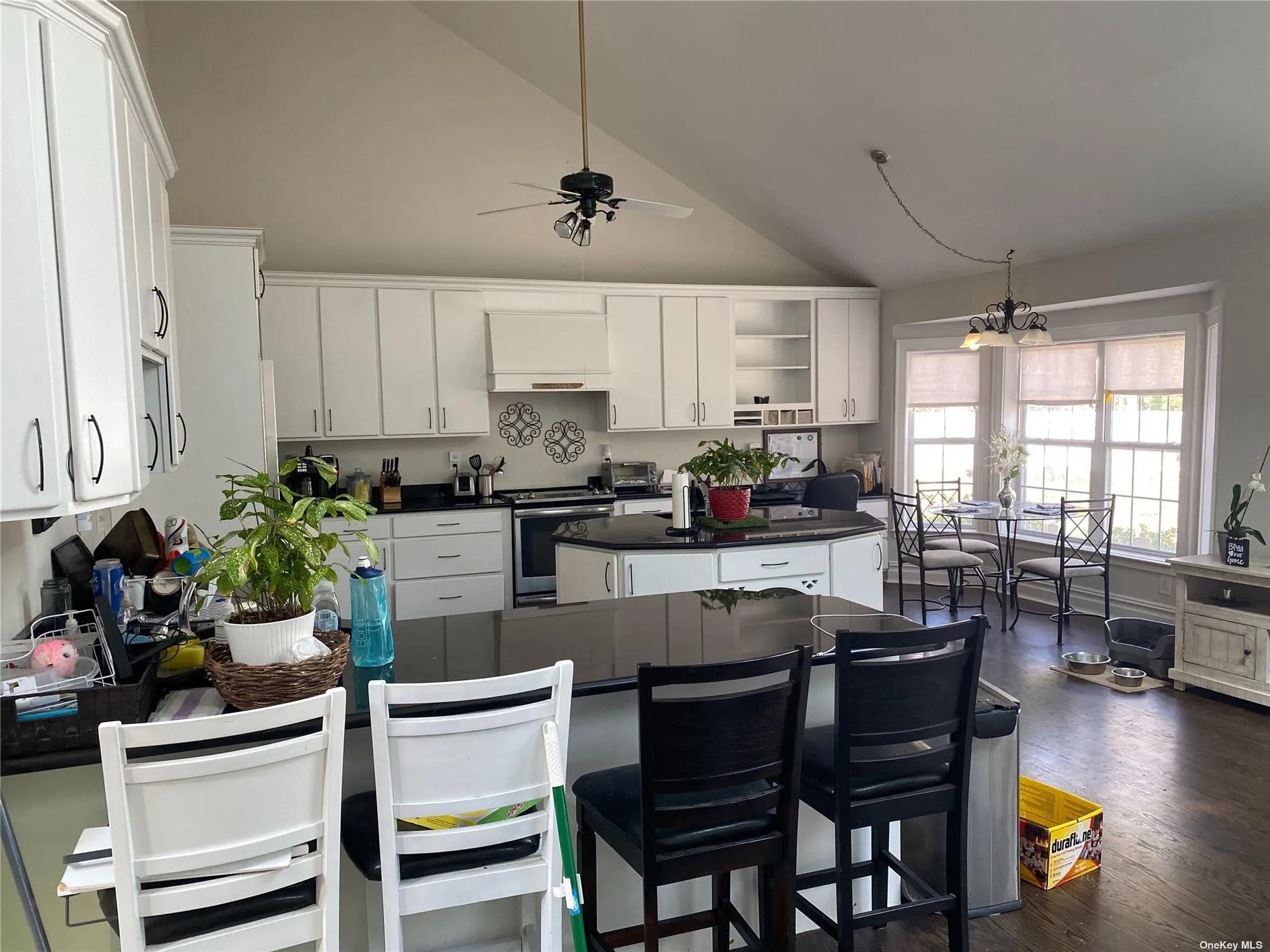 22 Drew Drive, Southampton, NY, 4 Bedrooms Bedrooms, 8 Rooms Rooms,3 BathroomsBathrooms,Residential,For Rent,Drew,0,L3535697 22 Drew Drive, Southampton, NY, 4 Bedrooms Bedrooms, 8 Rooms Rooms,3 BathroomsBathrooms,Residential,For Rent,Drew,0,L3535697