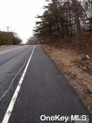 Middle Country Road, Brookhaven, NY, ,Land,For Rent,Middle Country,0,L3539072 Middle Country Road, Brookhaven, NY, ,Land,For Rent,Middle Country,0,L3539072