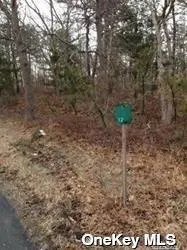 Middle Country Road, Brookhaven, NY, ,Land,For Rent,Middle Country,0,L3539072 Middle Country Road, Brookhaven, NY, ,Land,For Rent,Middle Country,0,L3539072