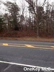 Middle Country Road, Brookhaven, NY, ,Land,For Rent,Middle Country,0,L3539072 Middle Country Road, Brookhaven, NY, ,Land,For Rent,Middle Country,0,L3539072