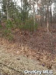 Middle Country Road, Brookhaven, NY, ,Land,For Rent,Middle Country,0,L3539072 Middle Country Road, Brookhaven, NY, ,Land,For Rent,Middle Country,0,L3539072