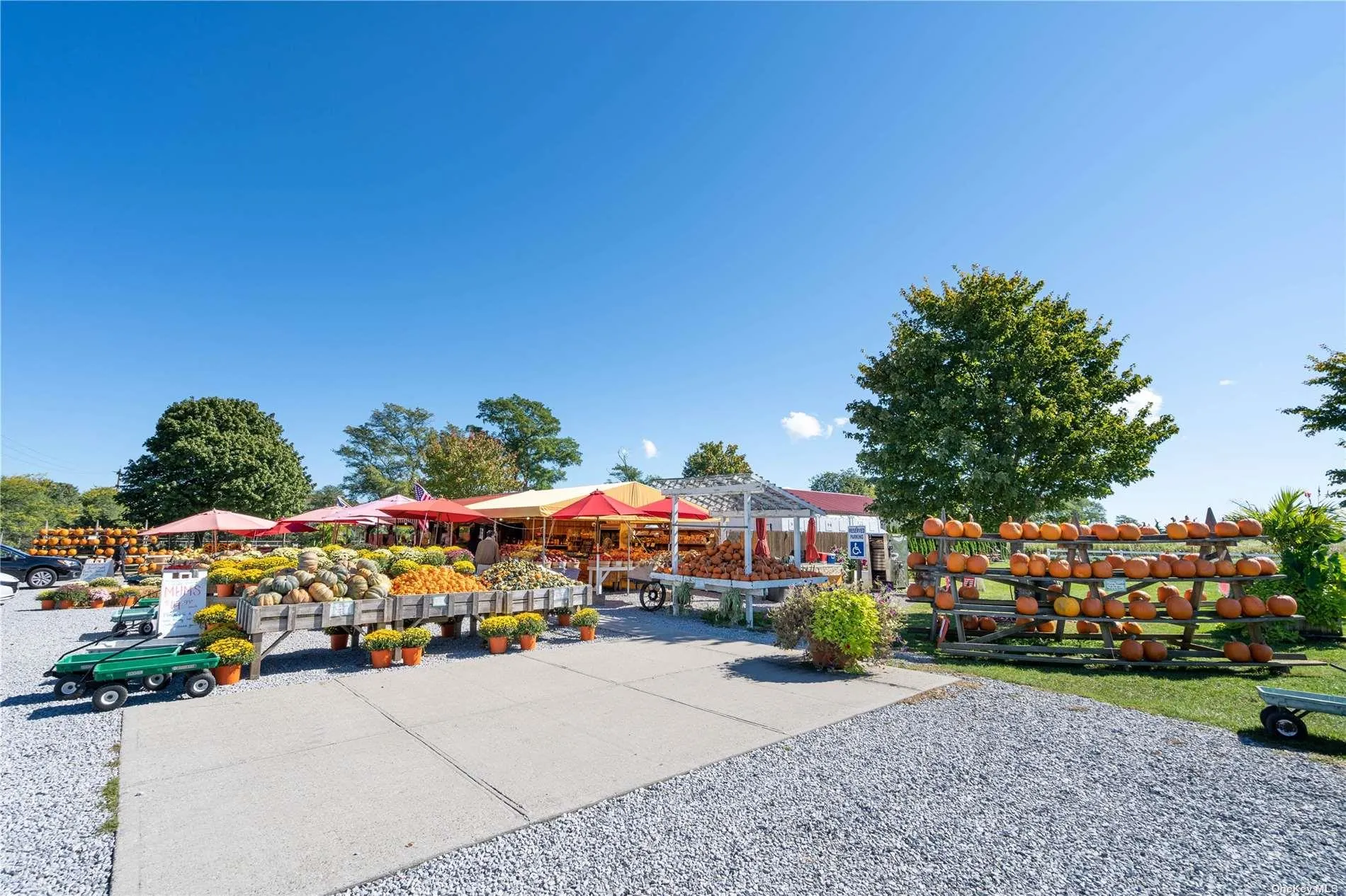 300 Marion Place, Southold, NY, 3 Bedrooms Bedrooms, 8 Rooms Rooms,2 BathroomsBathrooms,Residential Lease,For Rent,Marion,0,L3546433 300 Marion Place, Southold, NY, 3 Bedrooms Bedrooms, 8 Rooms Rooms,2 BathroomsBathrooms,Residential Lease,For Rent,Marion,0,L3546433