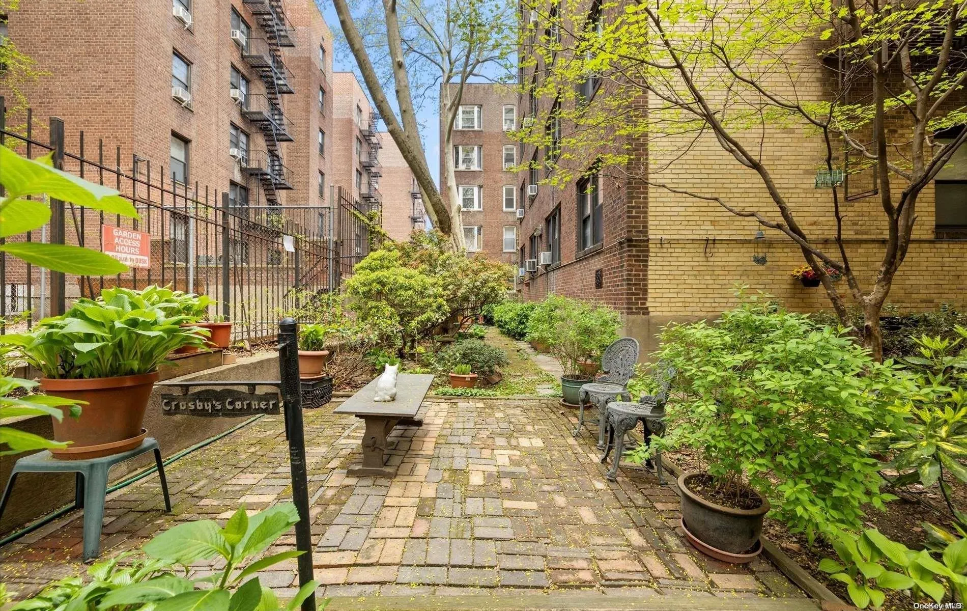 34-24 82nd Street, New York, NY, 1 Bedroom Bedrooms, 3 Rooms Rooms,1 BathroomBathrooms,Residential,For Rent,82nd Street,0,L3547886 34-24 82nd Street, New York, NY, 1 Bedroom Bedrooms, 3 Rooms Rooms,1 BathroomBathrooms,Residential,For Rent,82nd Street,0,L3547886