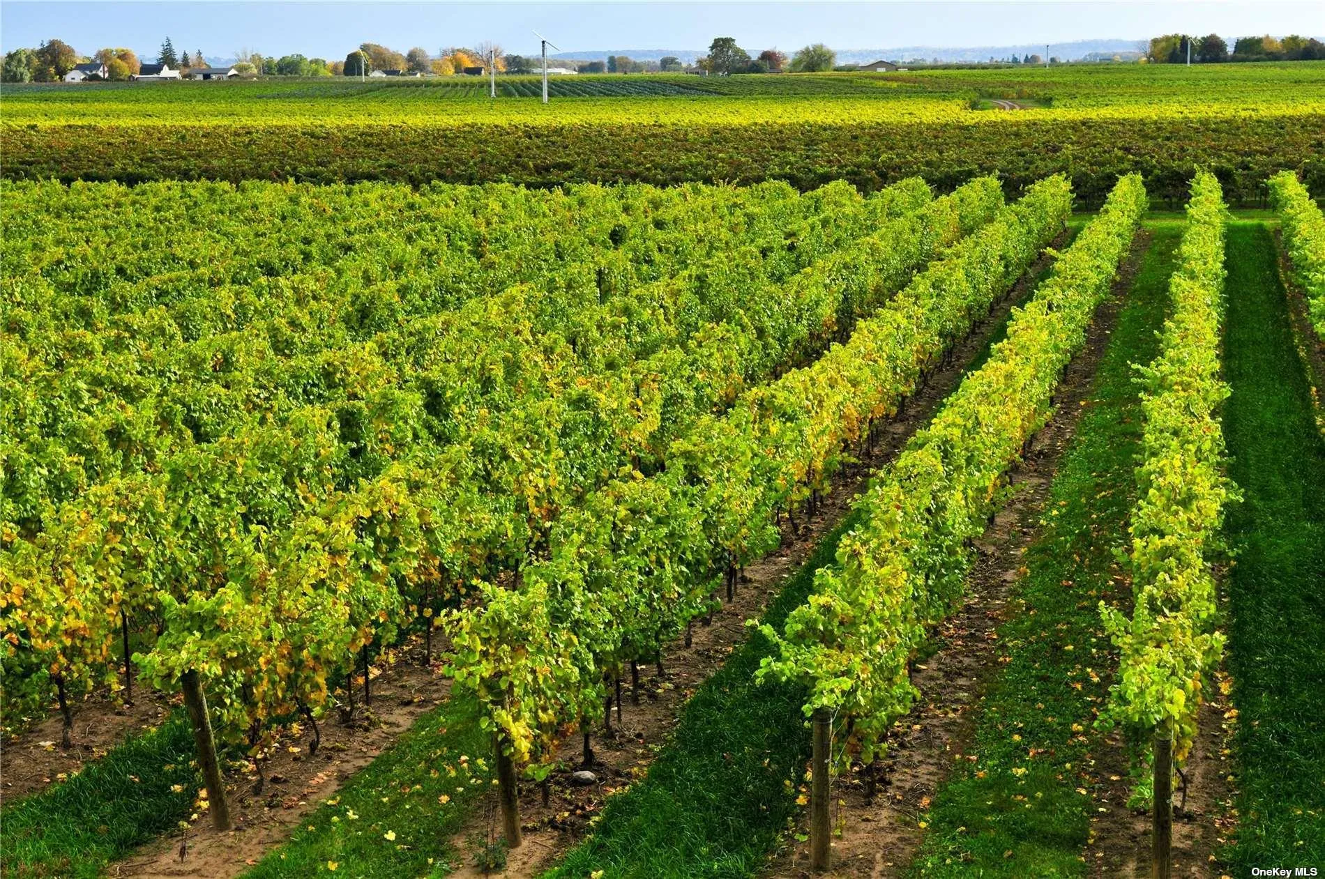 400 Hill Road, Southold, NY, 3 Bedrooms Bedrooms, 7 Rooms Rooms,2 BathroomsBathrooms,Residential Lease,Idx,Hill,0,L3549421 400 Hill Road, Southold, NY, 3 Bedrooms Bedrooms, 7 Rooms Rooms,2 BathroomsBathrooms,Residential Lease,Idx,Hill,0,L3549421