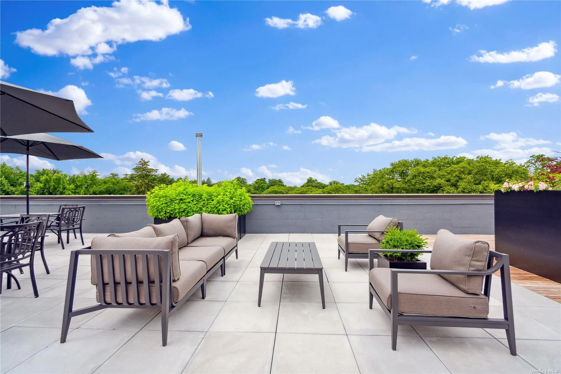 218 Middle Neck Road, North Hempstead, NY, 2 Bedrooms Bedrooms, 6 Rooms Rooms,2 BathroomsBathrooms,Residential,For Rent,Middle Neck,0,L3569427 218 Middle Neck Road, North Hempstead, NY, 2 Bedrooms Bedrooms, 6 Rooms Rooms,2 BathroomsBathrooms,Residential,For Rent,Middle Neck,0,L3569427