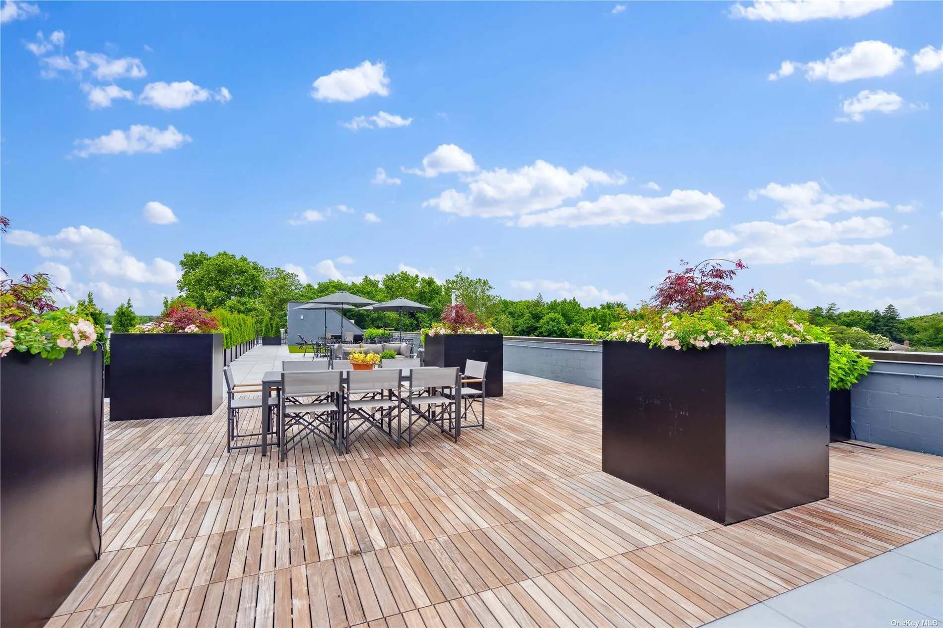 218 Middle Neck Road, North Hempstead, NY, 2 Bedrooms Bedrooms, 6 Rooms Rooms,2 BathroomsBathrooms,Residential,For Rent,Middle Neck,0,L3569436 218 Middle Neck Road, North Hempstead, NY, 2 Bedrooms Bedrooms, 6 Rooms Rooms,2 BathroomsBathrooms,Residential,For Rent,Middle Neck,0,L3569436