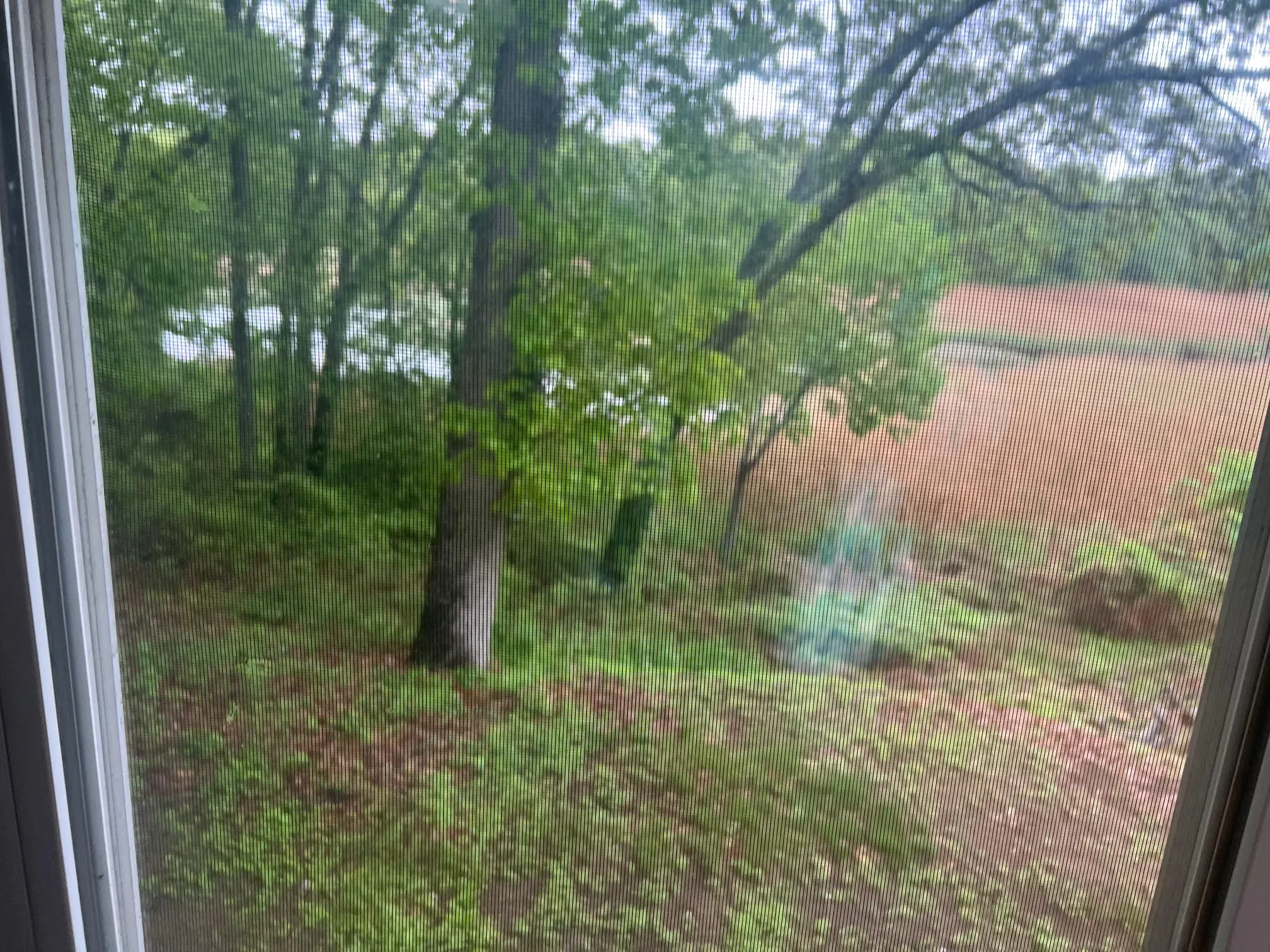 View of yard View of yard