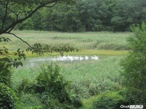 15 Old Field Road, Brookhaven, NY, 1 Bedroom Bedrooms, 1 Room Rooms,1 BathroomBathrooms,Residential Lease,Idx,Old Field Road,0,LP1417891 15 Old Field Road, Brookhaven, NY, 1 Bedroom Bedrooms, 1 Room Rooms,1 BathroomBathrooms,Residential Lease,Idx,Old Field Road,0,LP1417891