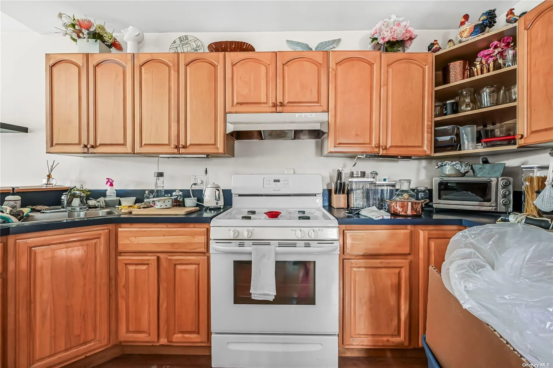 99-65 Lockwood Court, New York, NY, 2 Bedrooms Bedrooms, 5 Rooms Rooms,1 BathroomBathrooms,Residential,For Rent,Lockwood,0,L3580770 99-65 Lockwood Court, New York, NY, 2 Bedrooms Bedrooms, 5 Rooms Rooms,1 BathroomBathrooms,Residential,For Rent,Lockwood,0,L3580770