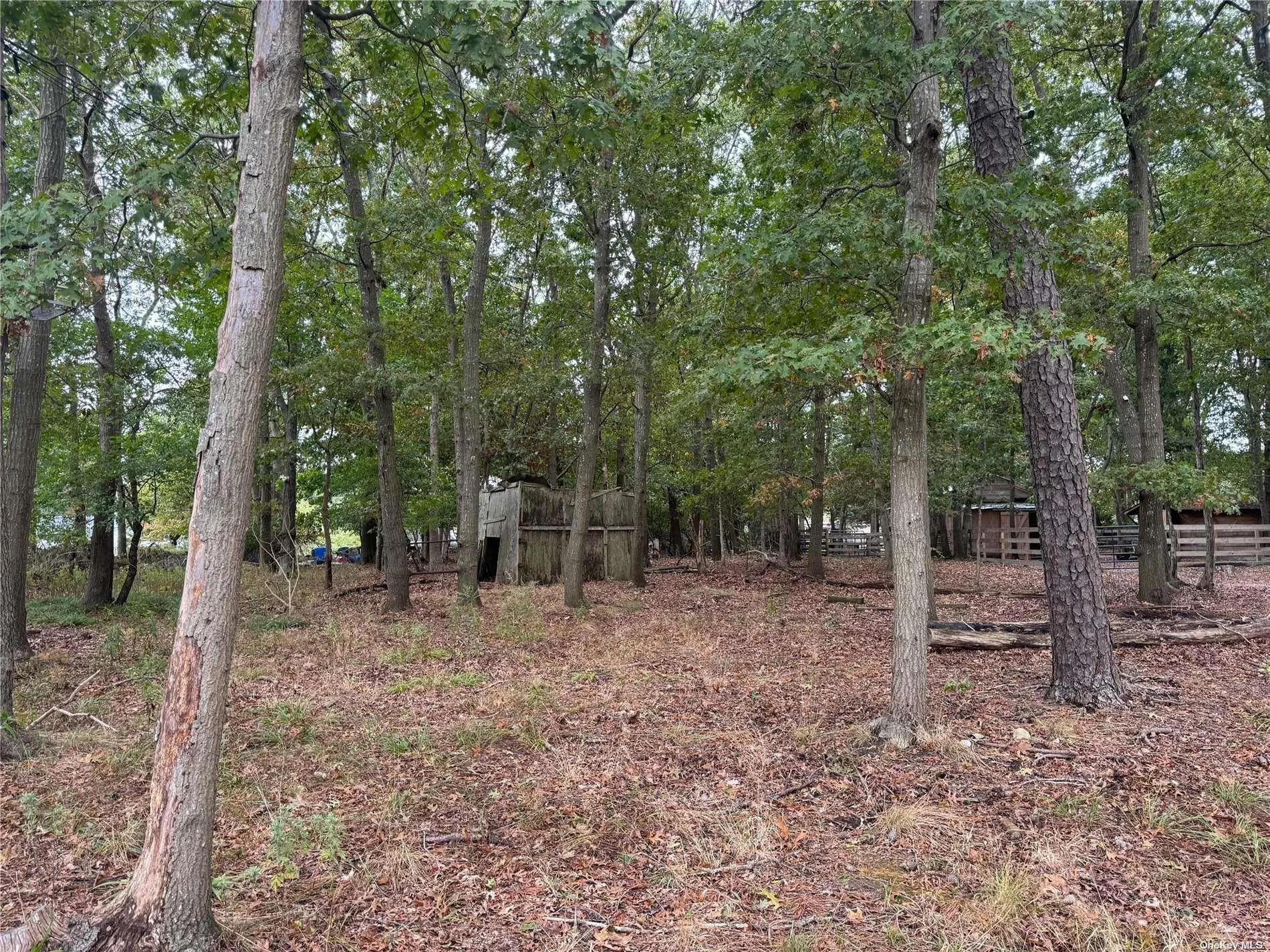 77 Lincoln Road, Brookhaven, NY, 4 Bedrooms Bedrooms, 6 Rooms Rooms,1 BathroomBathrooms,Residential,For Rent,Lincoln,0,L3586323 77 Lincoln Road, Brookhaven, NY, 4 Bedrooms Bedrooms, 6 Rooms Rooms,1 BathroomBathrooms,Residential,For Rent,Lincoln,0,L3586323