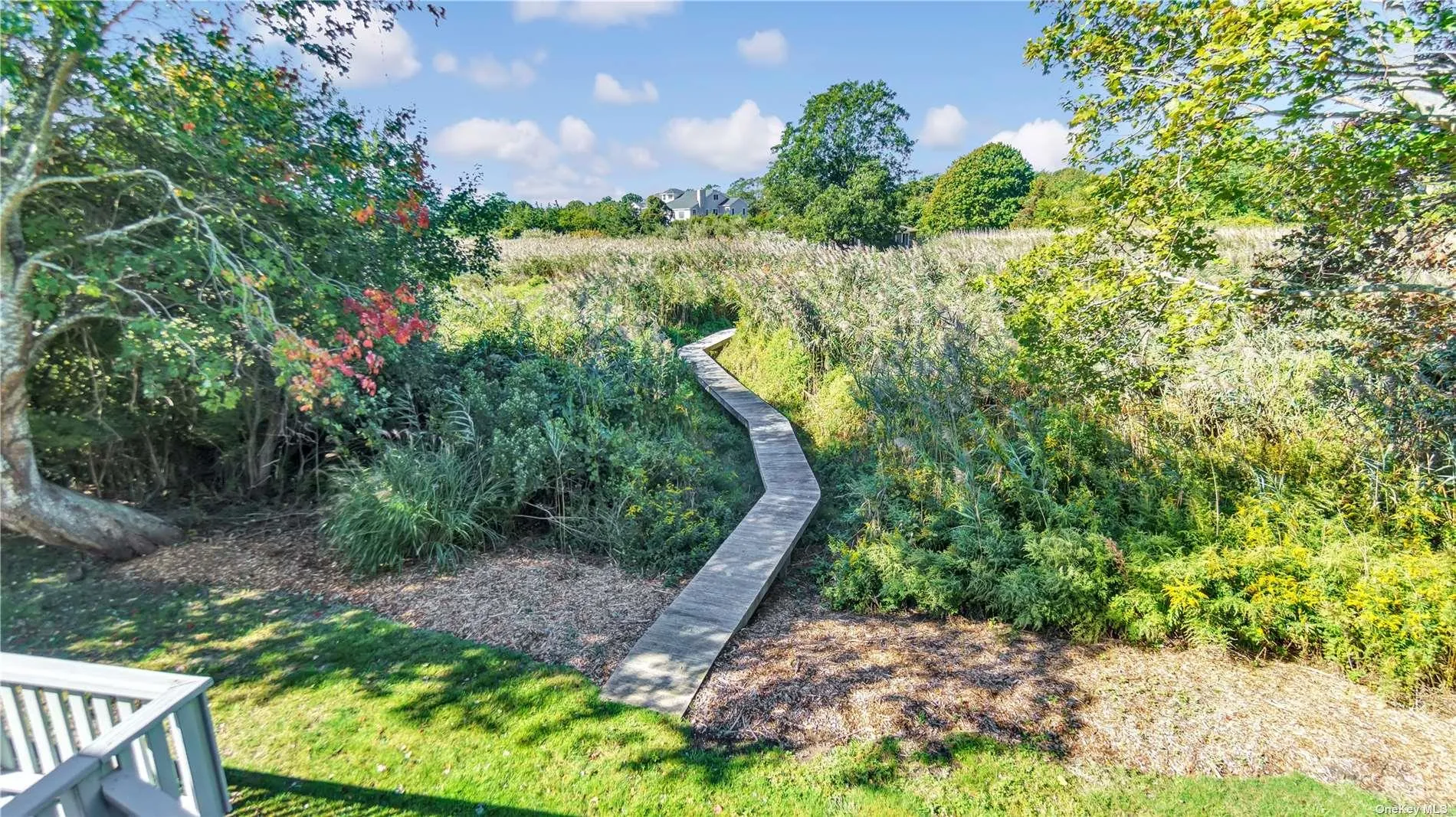 19 Rogers Lane, Southampton, NY, 4 Bedrooms Bedrooms, 7 Rooms Rooms,2 BathroomsBathrooms,Residential Lease,Idx,Rogers,0,L3587306 19 Rogers Lane, Southampton, NY, 4 Bedrooms Bedrooms, 7 Rooms Rooms,2 BathroomsBathrooms,Residential Lease,Idx,Rogers,0,L3587306