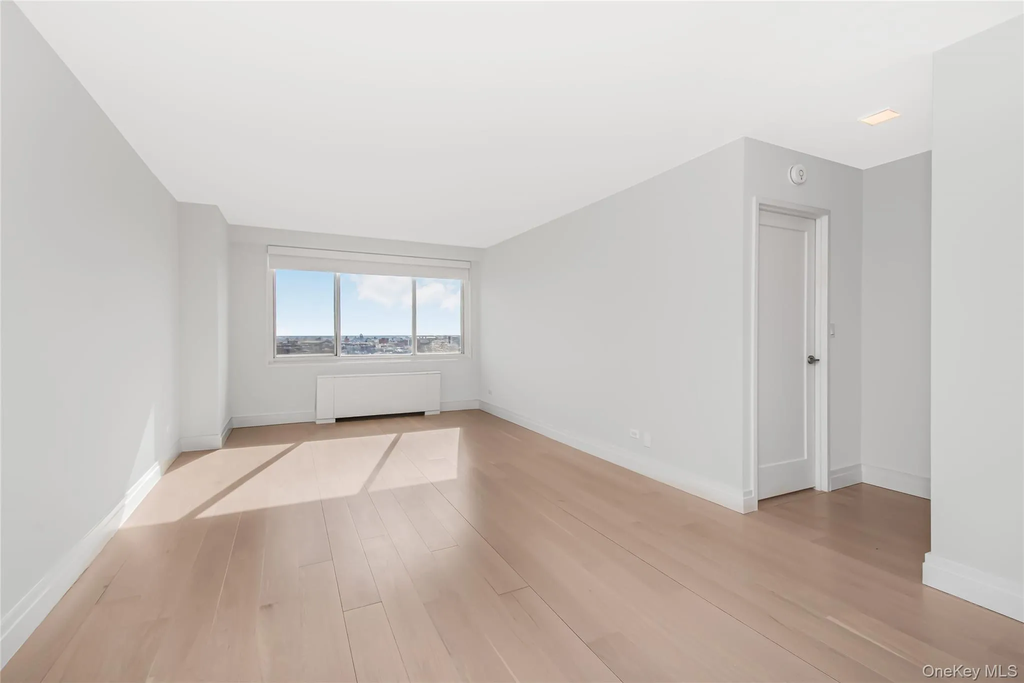 Spare room featuring baseboards, light wood-style flooring, and radiator Spare room featuring baseboards, light wood-style flooring, and radiator