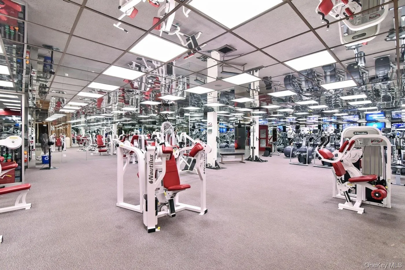 Gym with carpet flooring Gym with carpet flooring