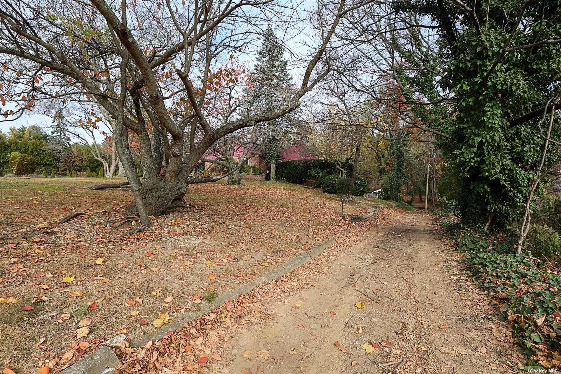 20 Rolling Hill Road, North Hempstead, NY, 5 Bedrooms Bedrooms, 8 Rooms Rooms,3 BathroomsBathrooms,Residential,For Rent,Rolling Hill,0,L3591033 20 Rolling Hill Road, North Hempstead, NY, 5 Bedrooms Bedrooms, 8 Rooms Rooms,3 BathroomsBathrooms,Residential,For Rent,Rolling Hill,0,L3591033