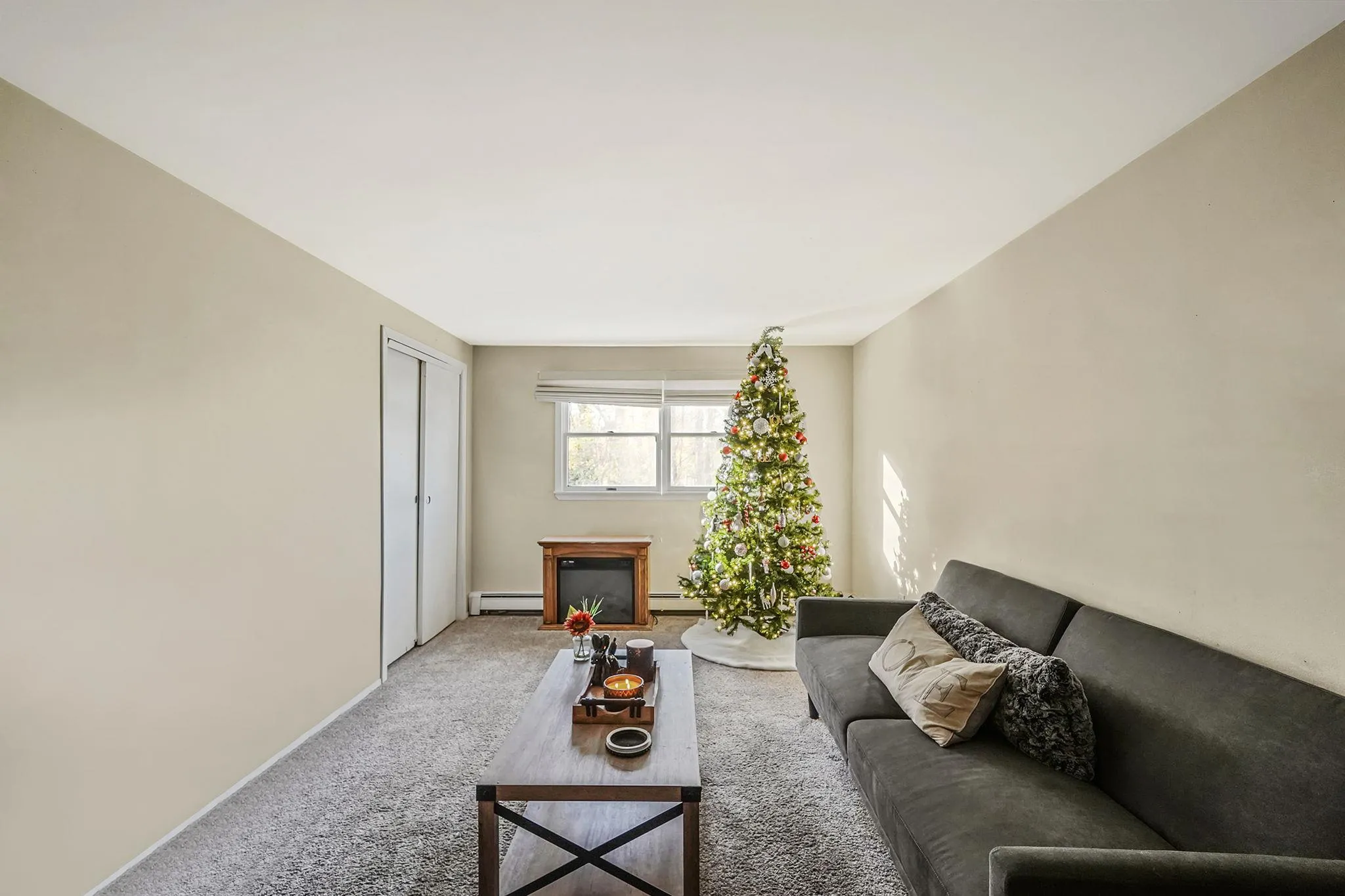 Carpeted living room with a baseboard radiator and baseboards Carpeted living room with a baseboard radiator and baseboards