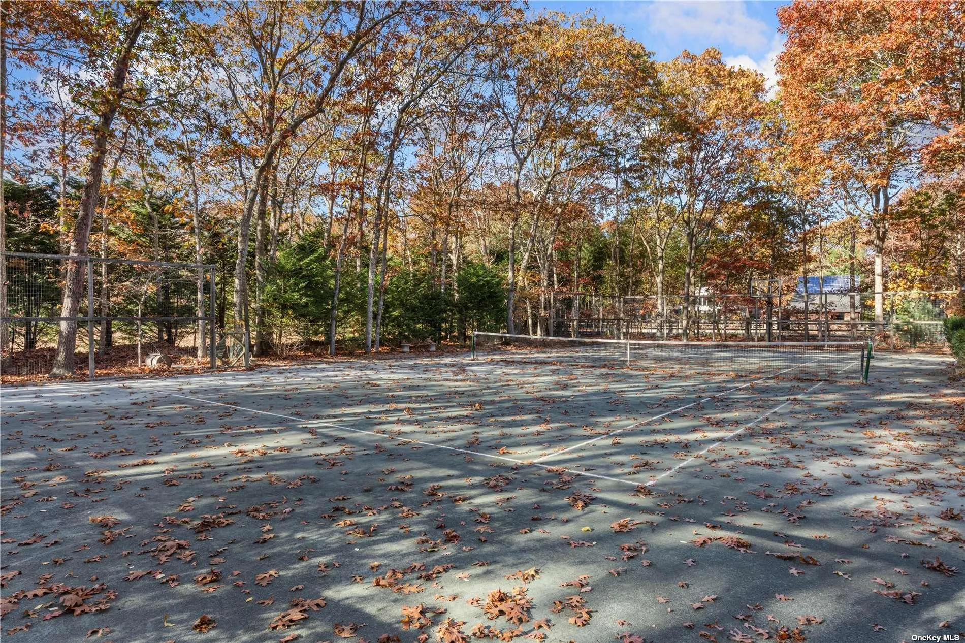 25 Quarter Road, Southampton, NY, 4 Bedrooms Bedrooms, 8 Rooms Rooms,3 BathroomsBathrooms,Residential Lease,Idx,Quarter,0,L3592148 25 Quarter Road, Southampton, NY, 4 Bedrooms Bedrooms, 8 Rooms Rooms,3 BathroomsBathrooms,Residential Lease,Idx,Quarter,0,L3592148