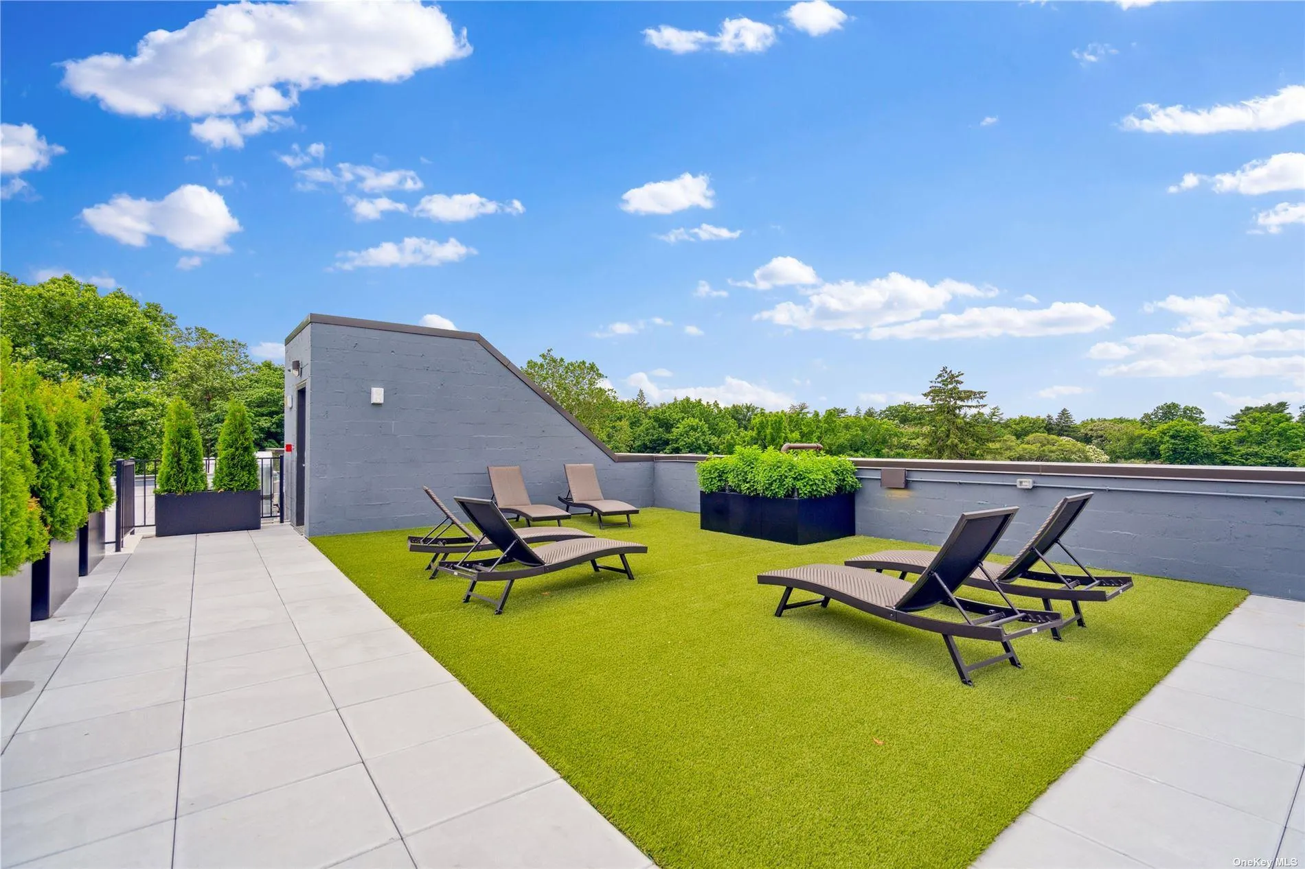 218 Middle Neck Road, North Hempstead, NY, 2 Bedrooms Bedrooms, 6 Rooms Rooms,2 BathroomsBathrooms,Residential,For Rent,Middle Neck,0,L3593412 218 Middle Neck Road, North Hempstead, NY, 2 Bedrooms Bedrooms, 6 Rooms Rooms,2 BathroomsBathrooms,Residential,For Rent,Middle Neck,0,L3593412