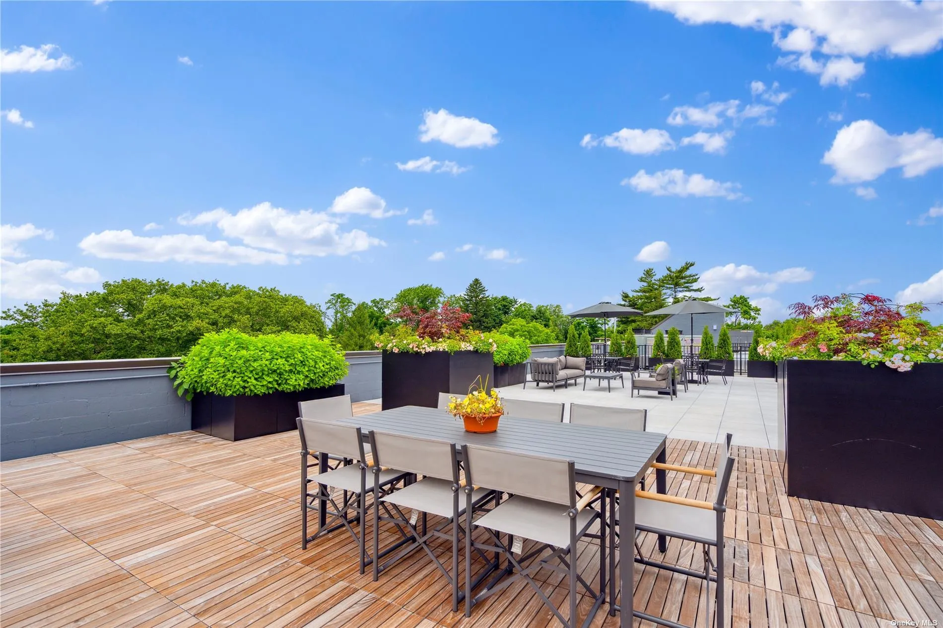218 Middle Neck Road, North Hempstead, NY, 2 Bedrooms Bedrooms, 6 Rooms Rooms,2 BathroomsBathrooms,Residential,For Rent,Middle Neck,0,L3593554 218 Middle Neck Road, North Hempstead, NY, 2 Bedrooms Bedrooms, 6 Rooms Rooms,2 BathroomsBathrooms,Residential,For Rent,Middle Neck,0,L3593554