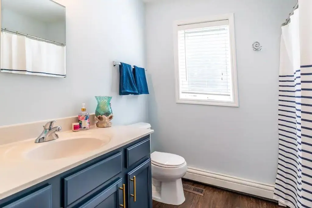 Bathroom with vanity, hardwood / wood-style flooring, toilet, and a baseboard heating unit Bathroom with vanity, hardwood / wood-style flooring, toilet, and a baseboard heating unit