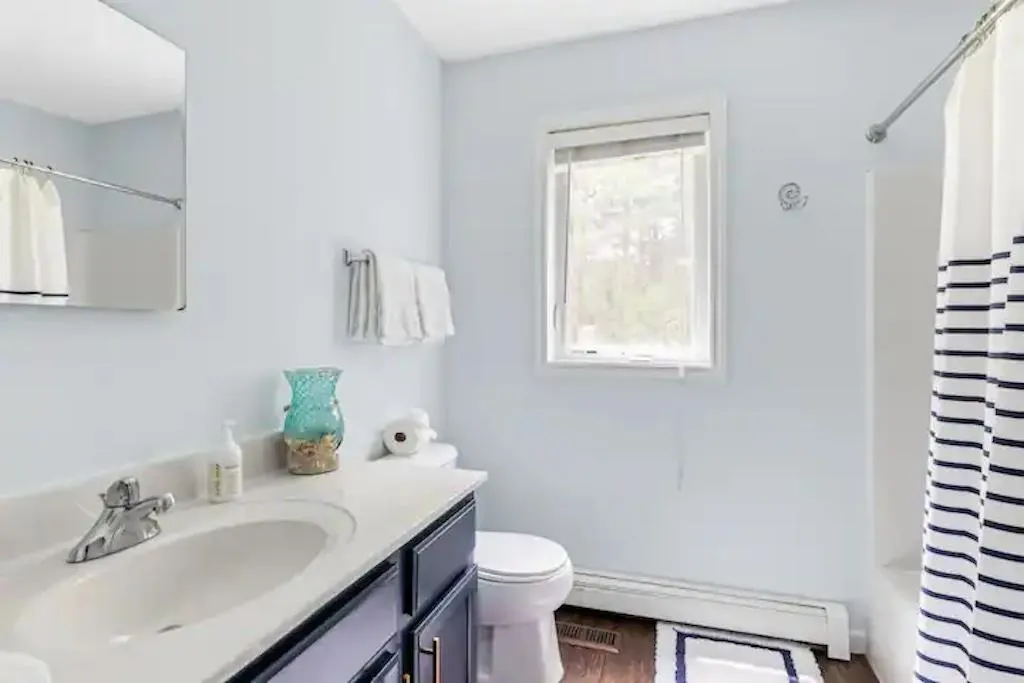 Bathroom with hardwood / wood-style floors, vanity, a shower with curtain, toilet, and a baseboard radiator Bathroom with hardwood / wood-style floors, vanity, a shower with curtain, toilet, and a baseboard radiator