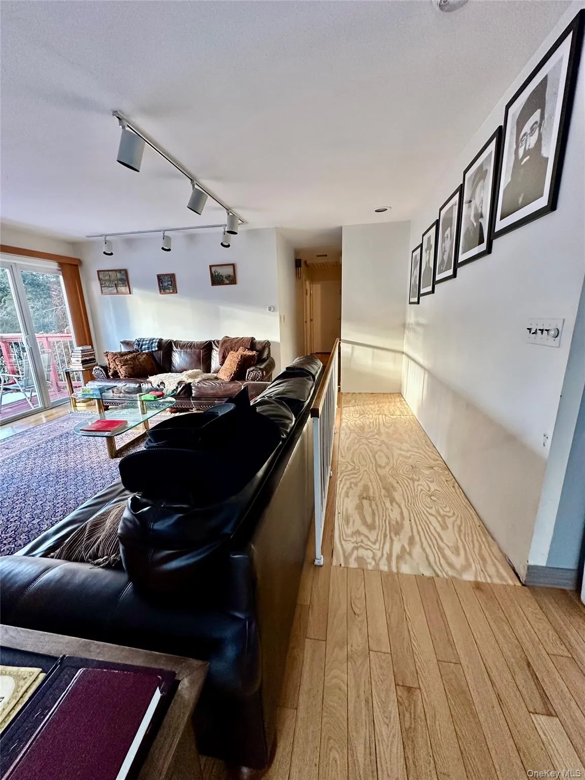 Living room featuring hardwood / wood-style floors and rail lighting Living room featuring hardwood / wood-style floors and rail lighting