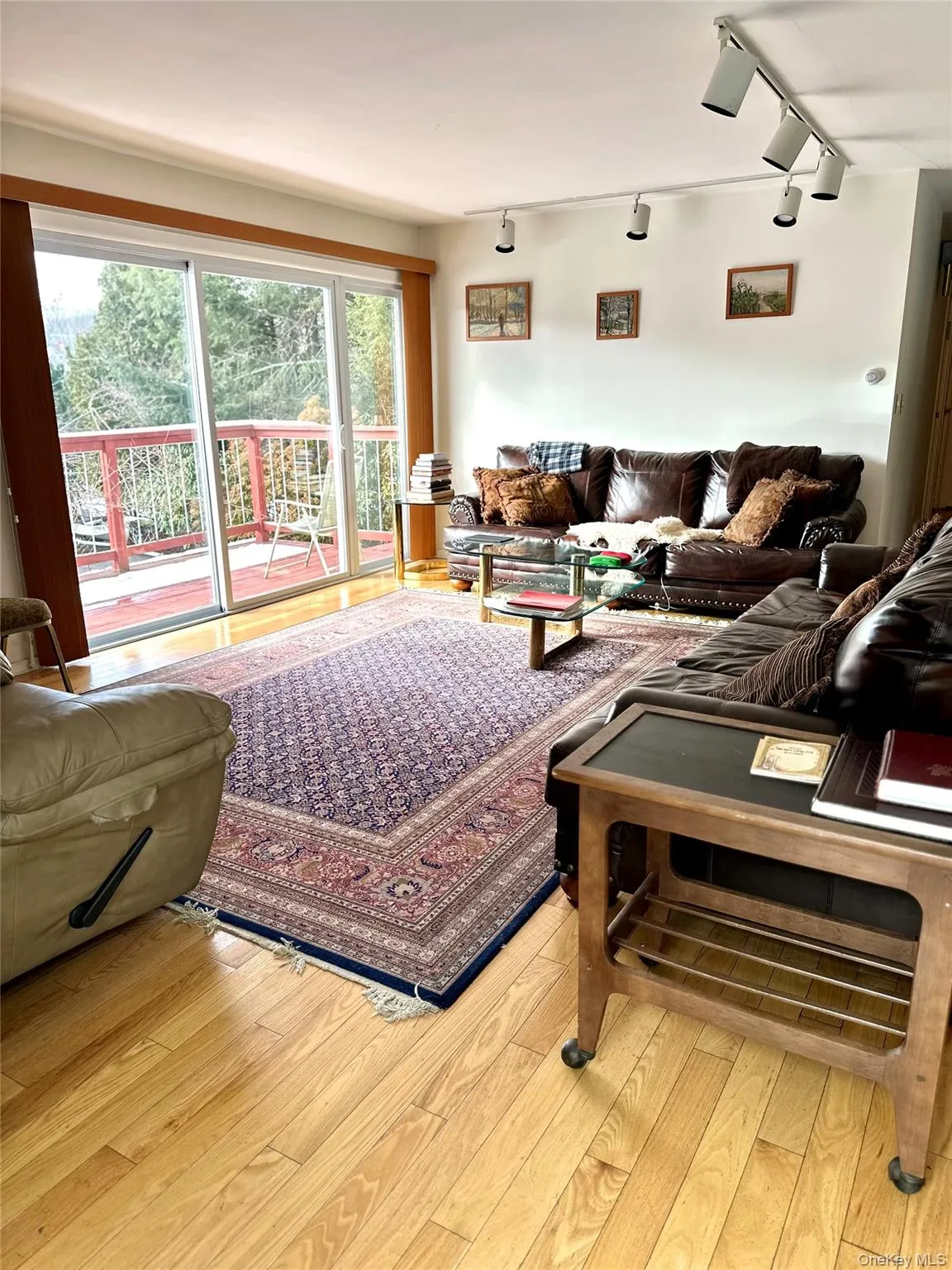 Living room with track lighting and light hardwood / wood-style flooring Living room with track lighting and light hardwood / wood-style flooring