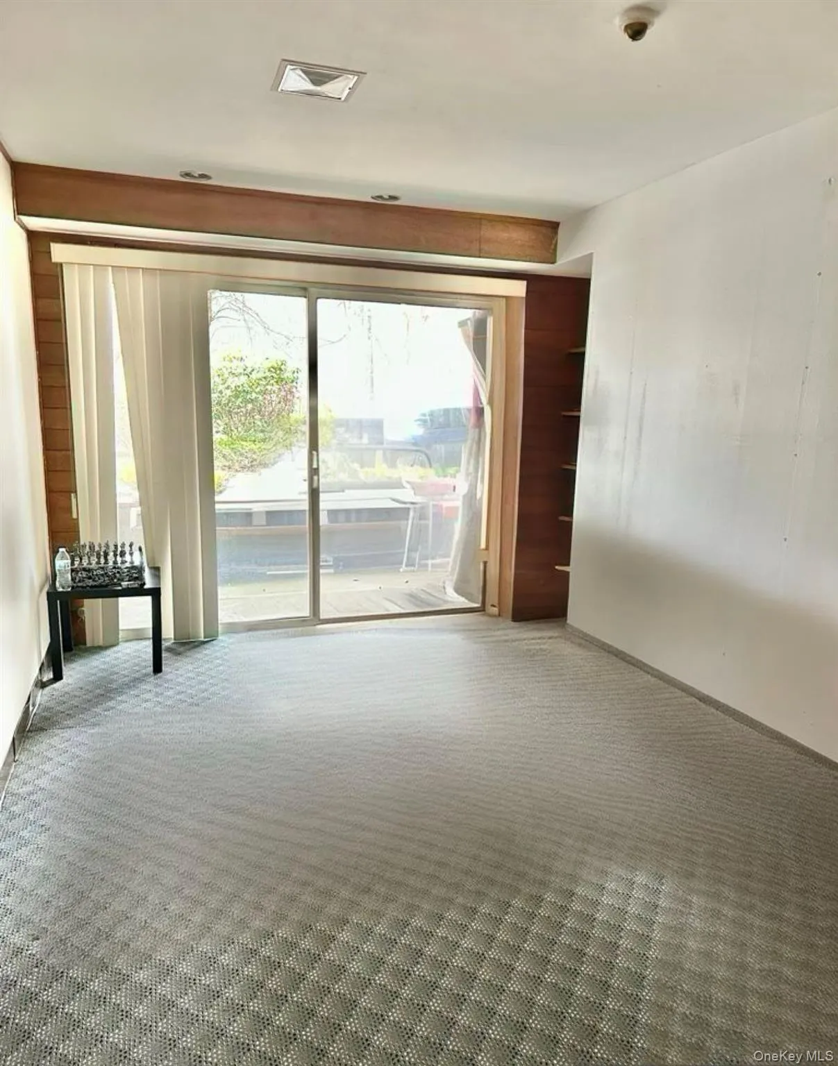 Carpeted spare room with a wealth of natural light Carpeted spare room with a wealth of natural light