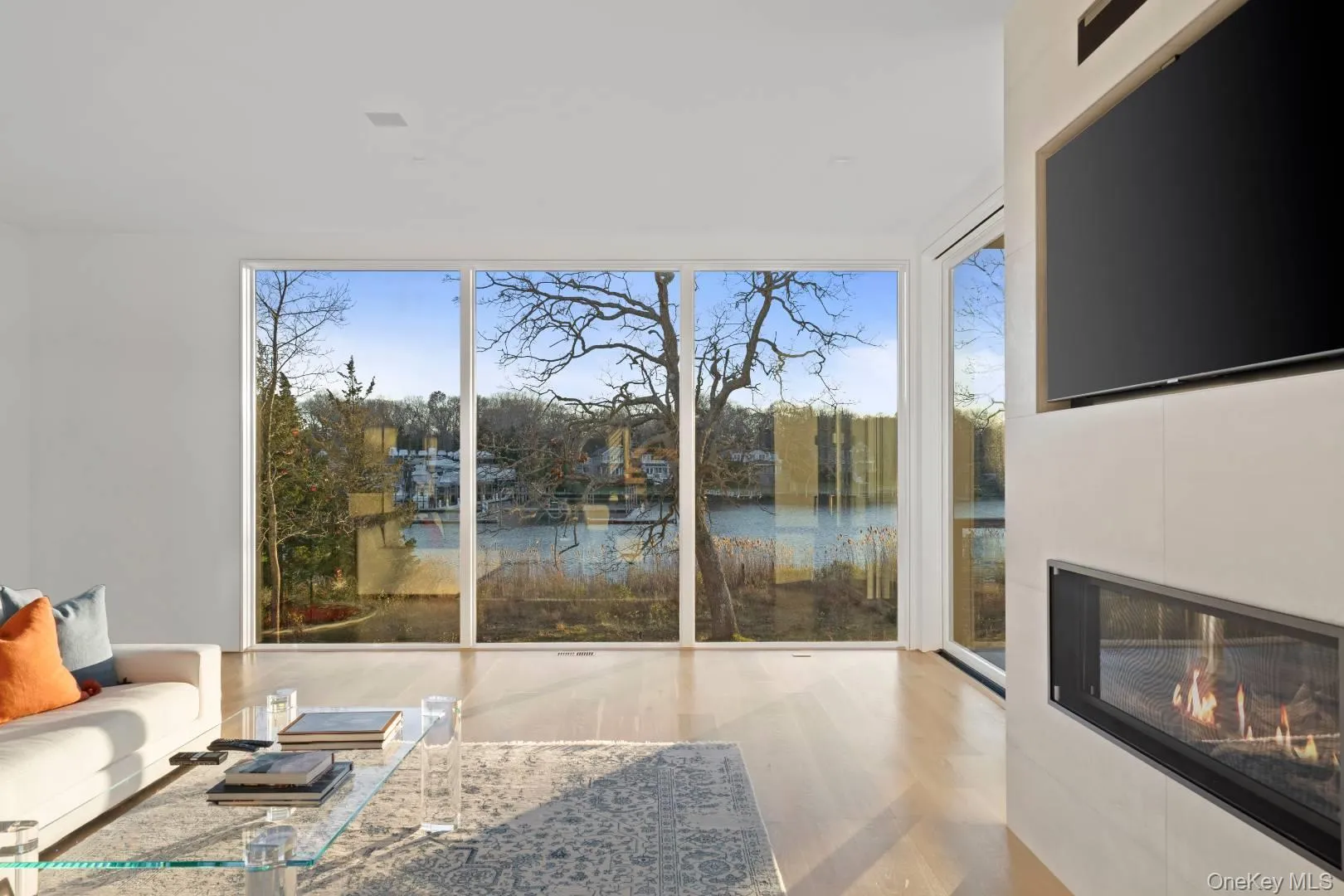 Living room featuring expansive windows and light wood-type flooring Living room featuring expansive windows and light wood-type flooring