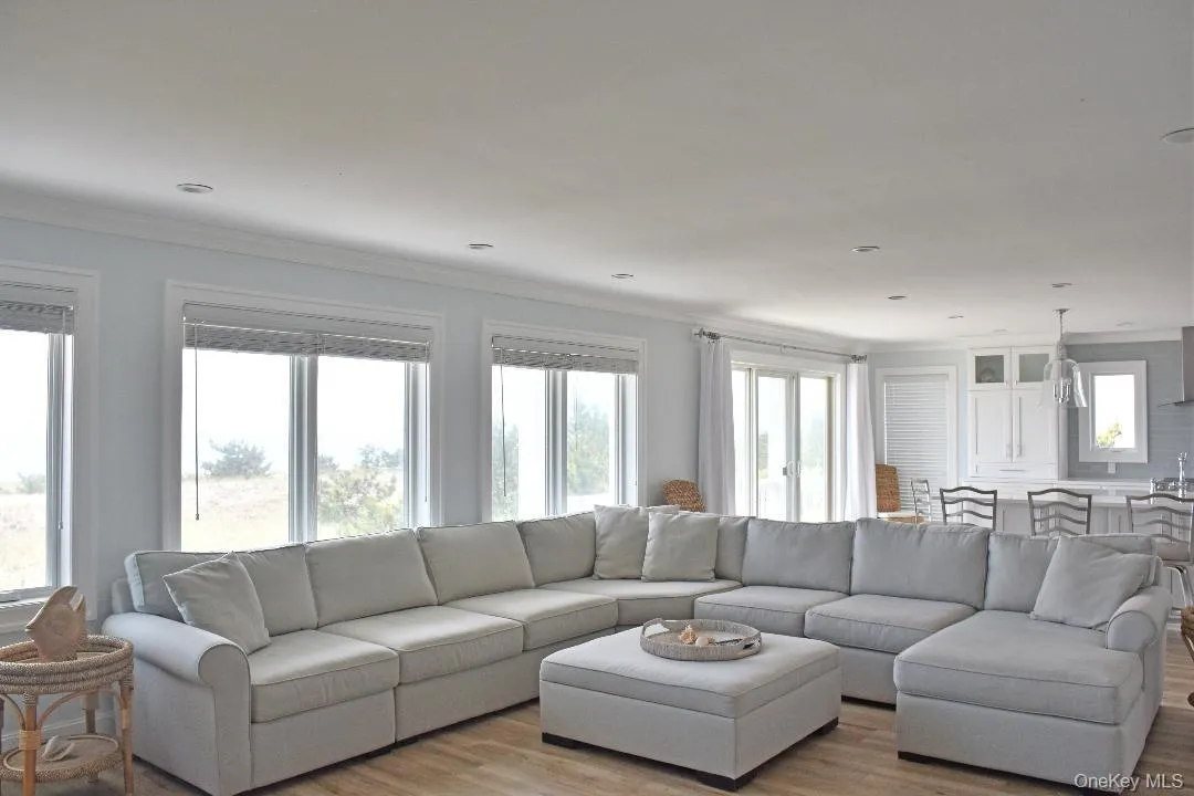 Living room featuring light hardwood / wood-style flooring, a wealth of natural light, and ornamental molding Living room featuring light hardwood / wood-style flooring, a wealth of natural light, and ornamental molding