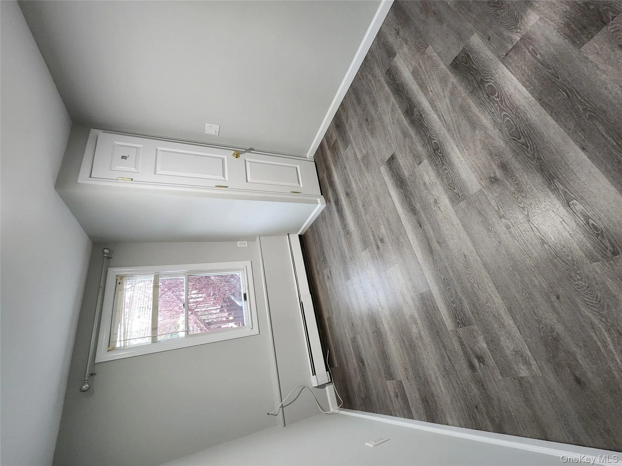 Unfurnished room featuring dark hardwood / wood-style floors and a baseboard heating unit Unfurnished room featuring dark hardwood / wood-style floors and a baseboard heating unit