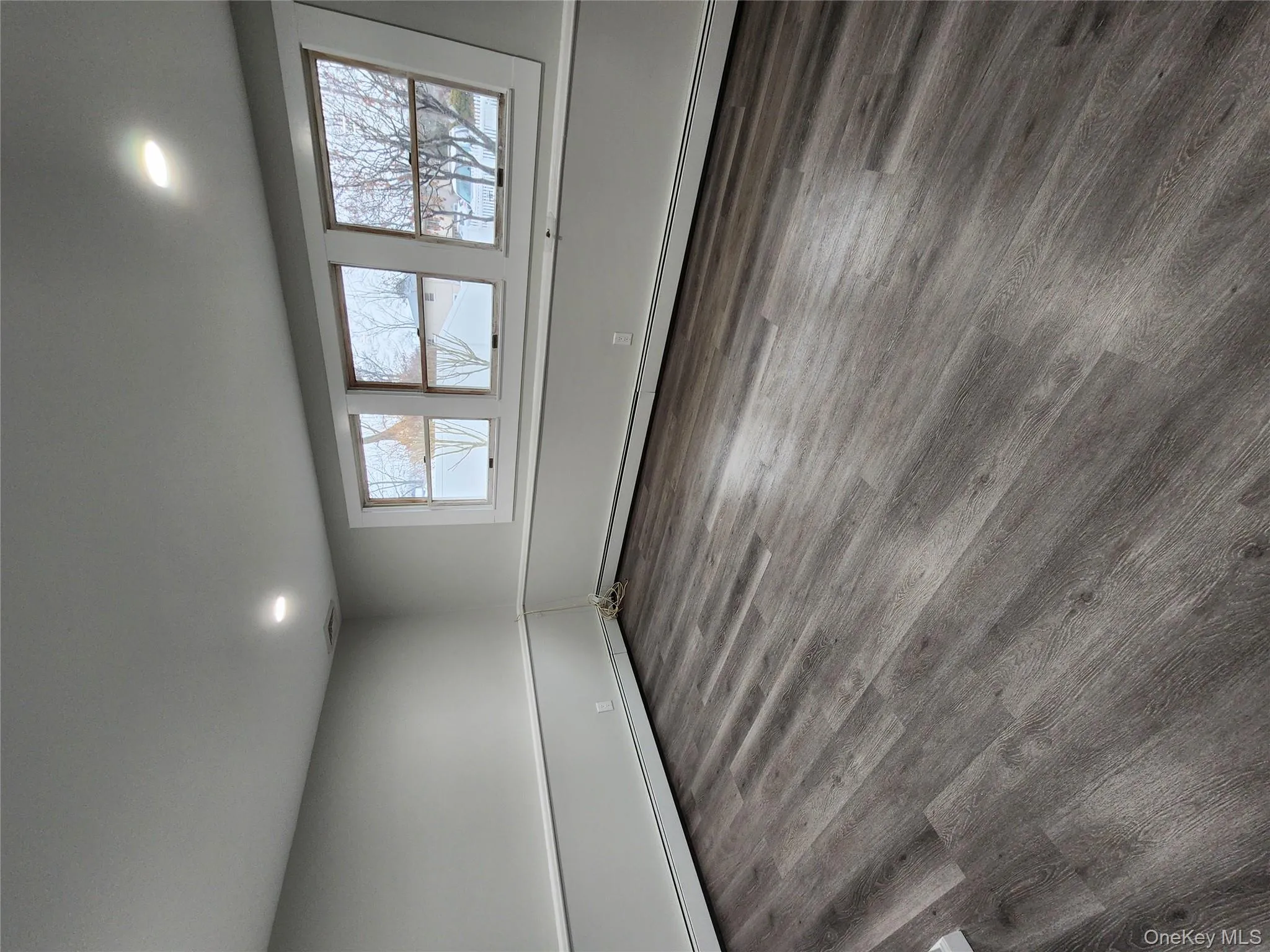 Livingroom with wall of windows, laminate flooring and large double door closet Livingroom with wall of windows, laminate flooring and large double door closet