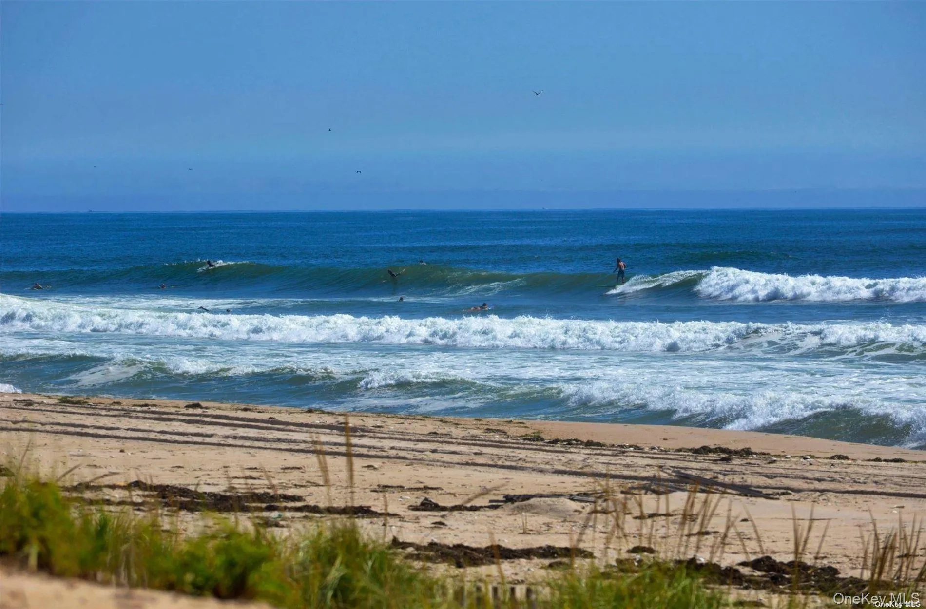 Within minutes to world Within minutes to world