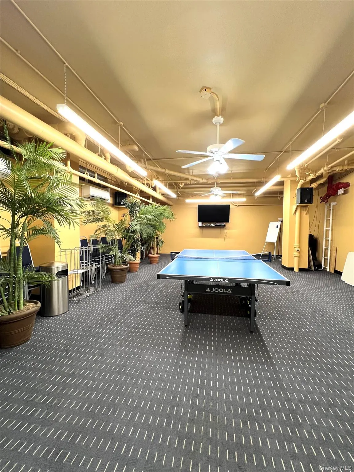 Game room with carpet flooring, a ceiling fan, and a wall mounted air conditioner Game room with carpet flooring, a ceiling fan, and a wall mounted air conditioner