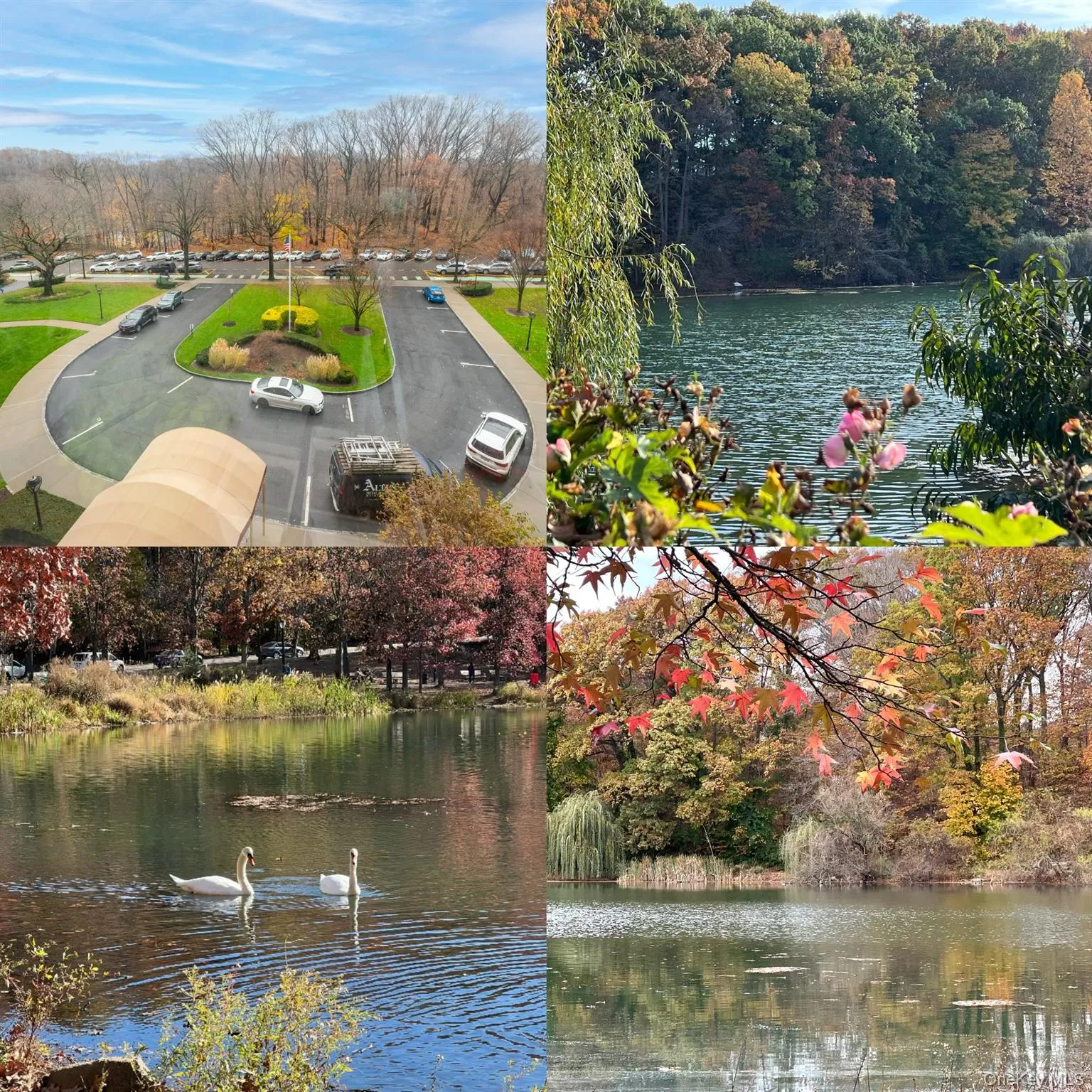 Property view of water Property view of water