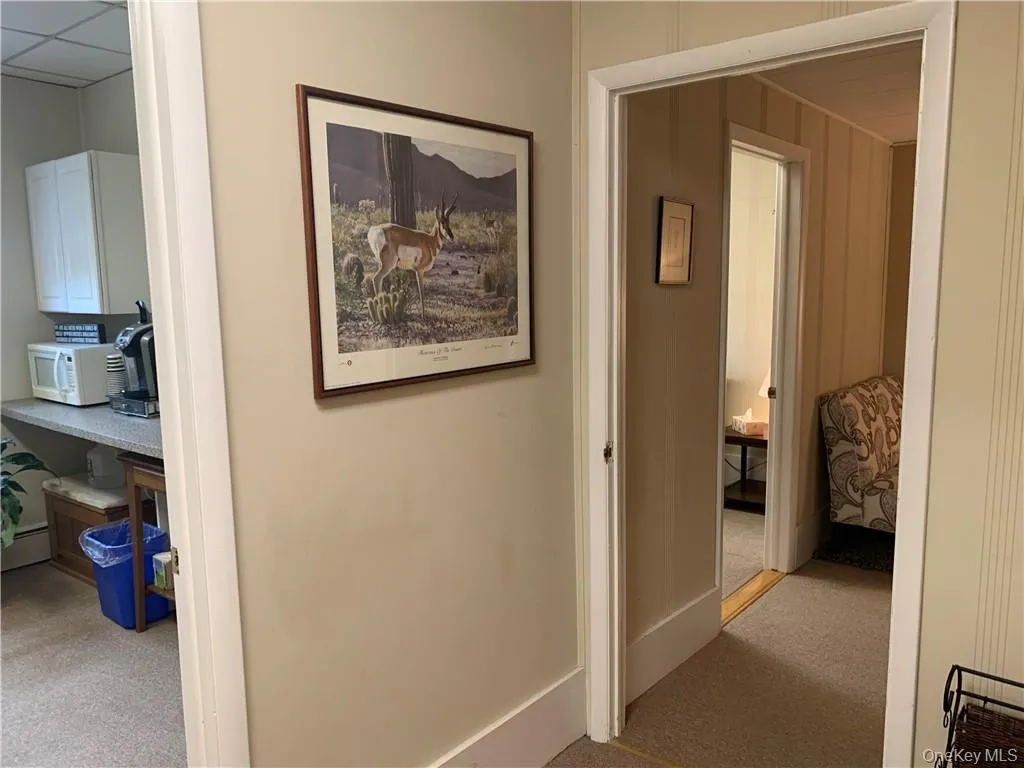 64 Gleneida Avenue, Carmel, NY, ,Commercial Lease,Idx,Gleneida,0,808293 64 Gleneida Avenue, Carmel, NY, ,Commercial Lease,Idx,Gleneida,0,808293