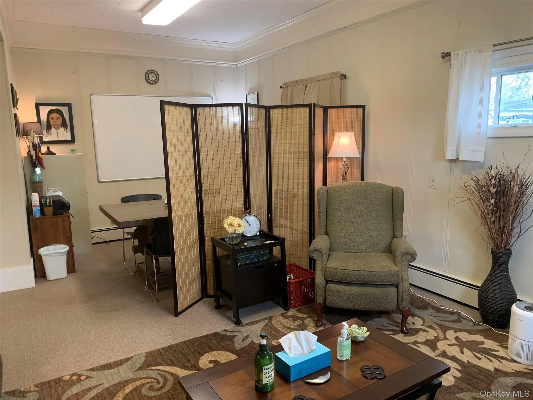 Living room with carpet floors, a baseboard radiator, and crown molding Living room with carpet floors, a baseboard radiator, and crown molding