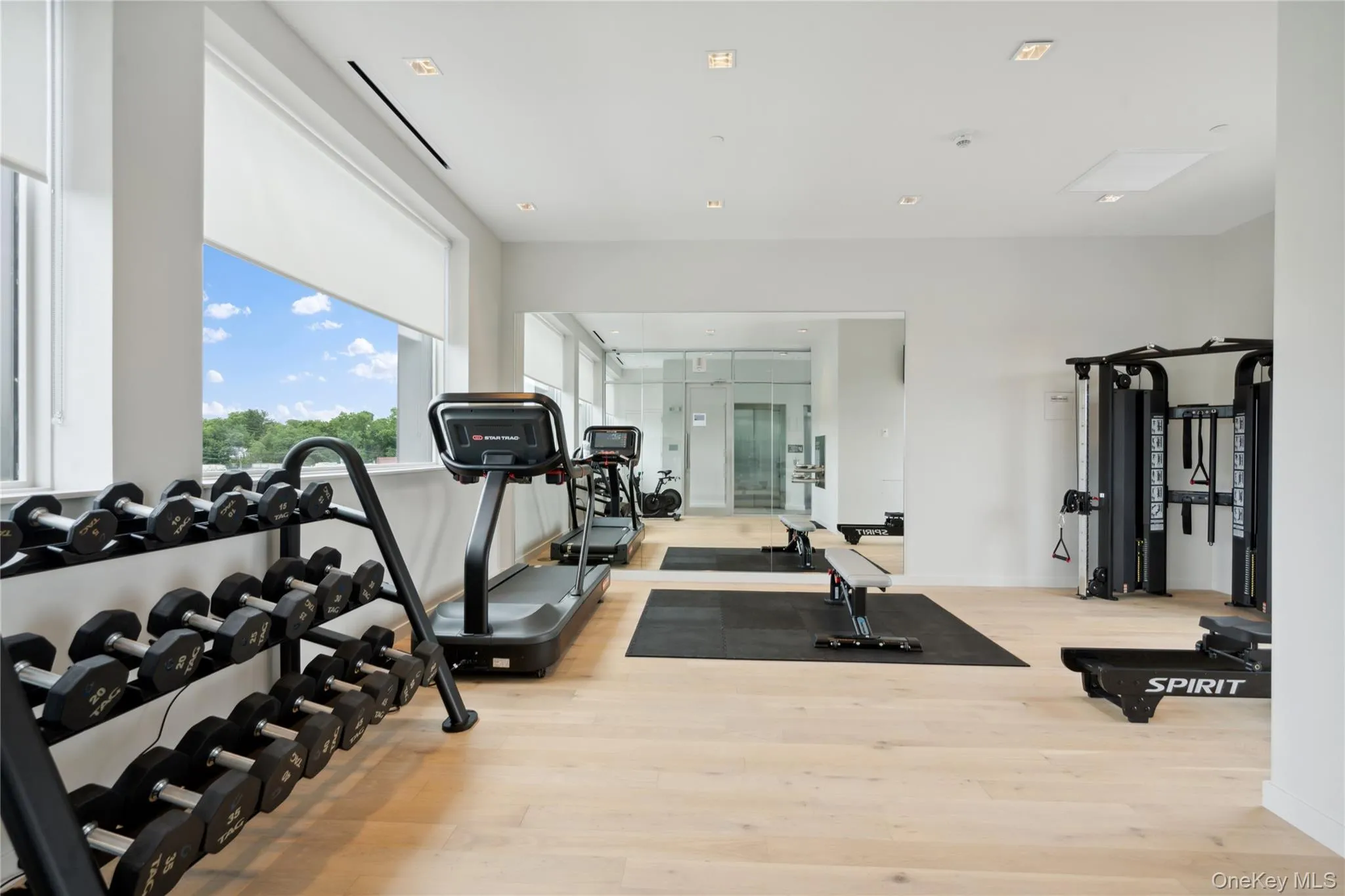 Workout area with light hardwood / wood-style floors Workout area with light hardwood / wood-style floors