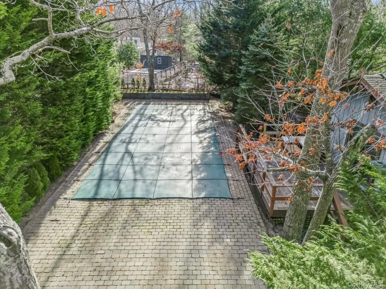 Heated Lap Pool With Spacious Patio